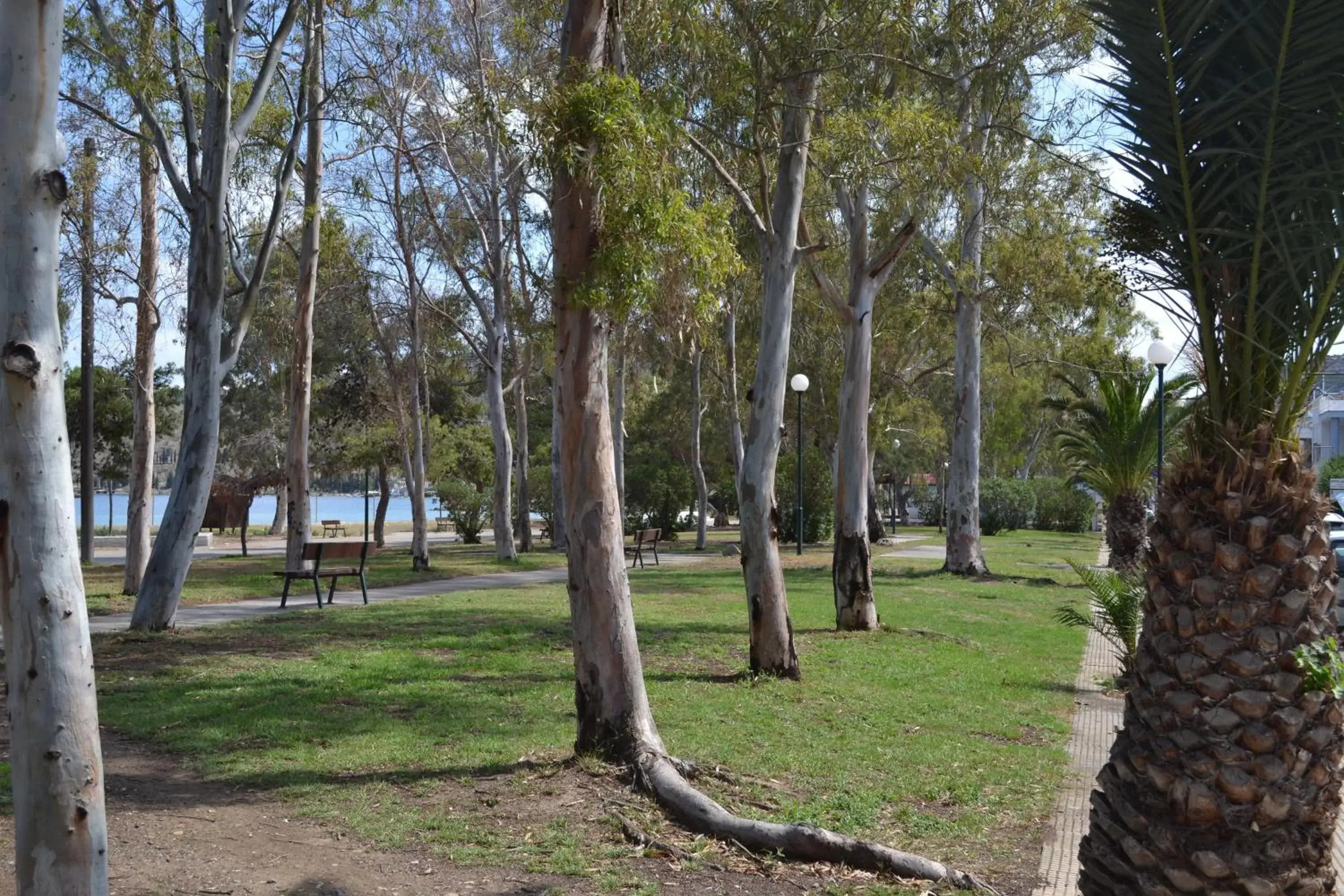 Area and facilities, Garden in Filoxenia Hotel