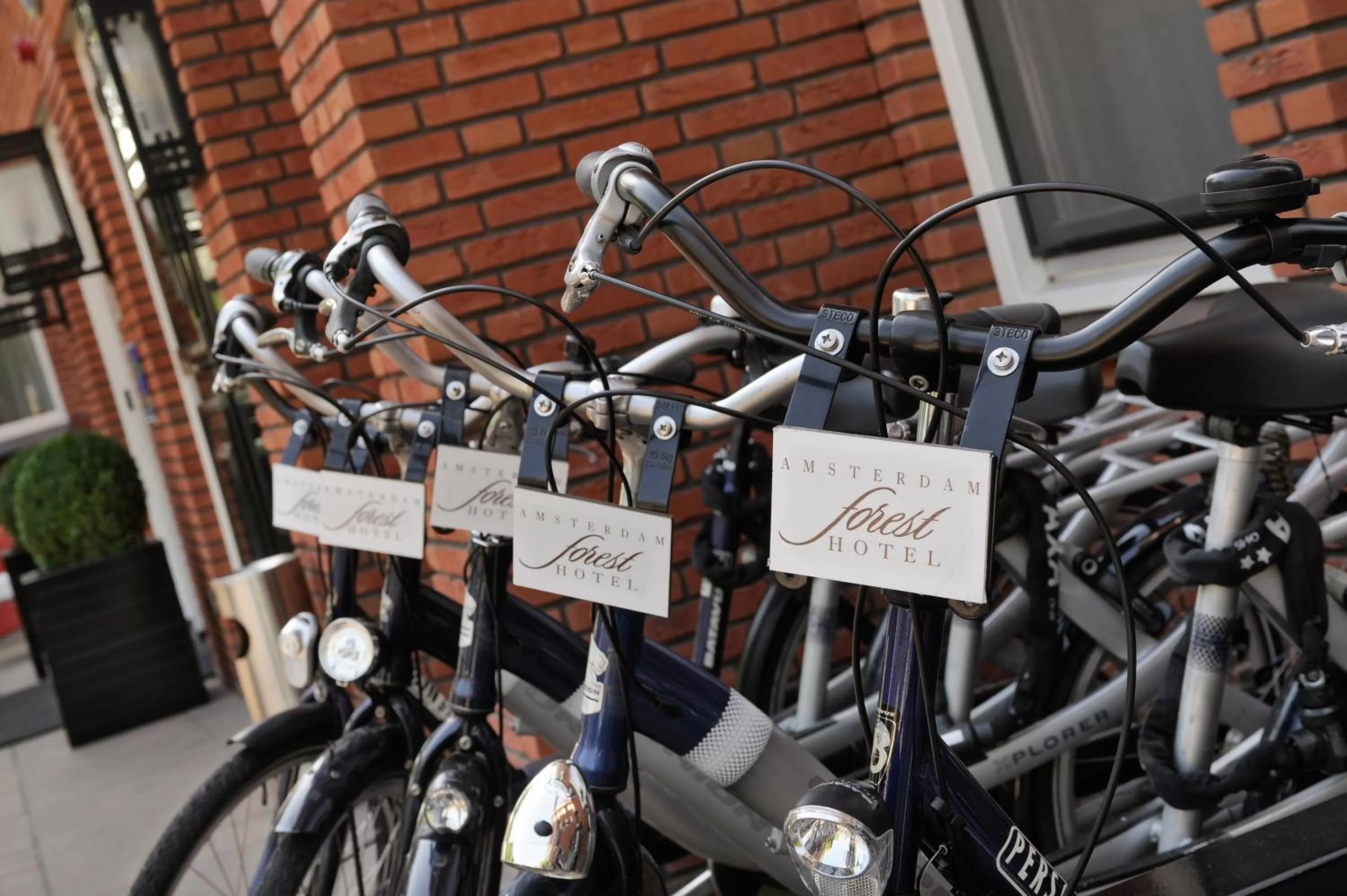 Cycling in Amsterdam Forest Hotel