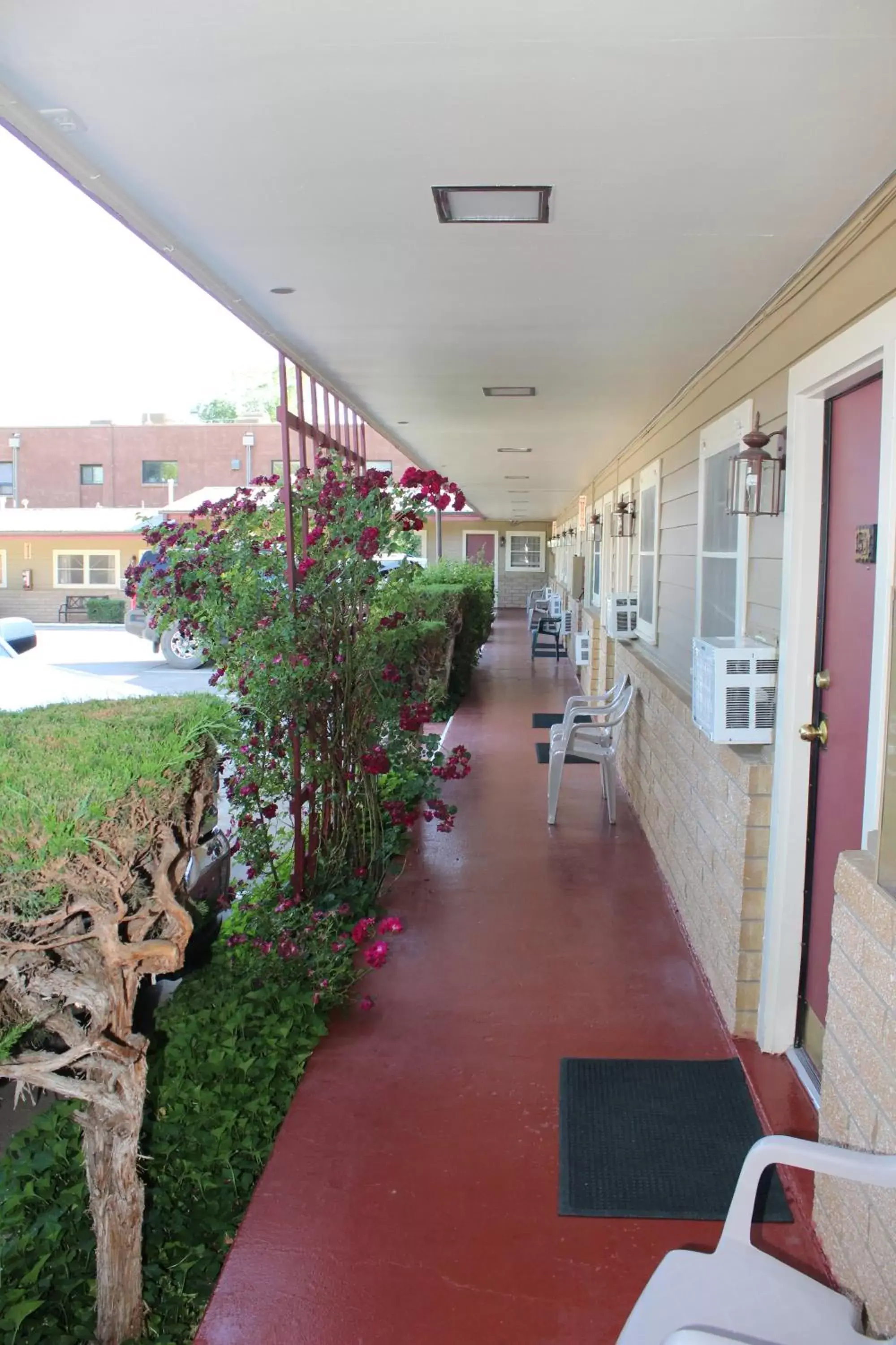 Bird's eye view in The Siesta Motel