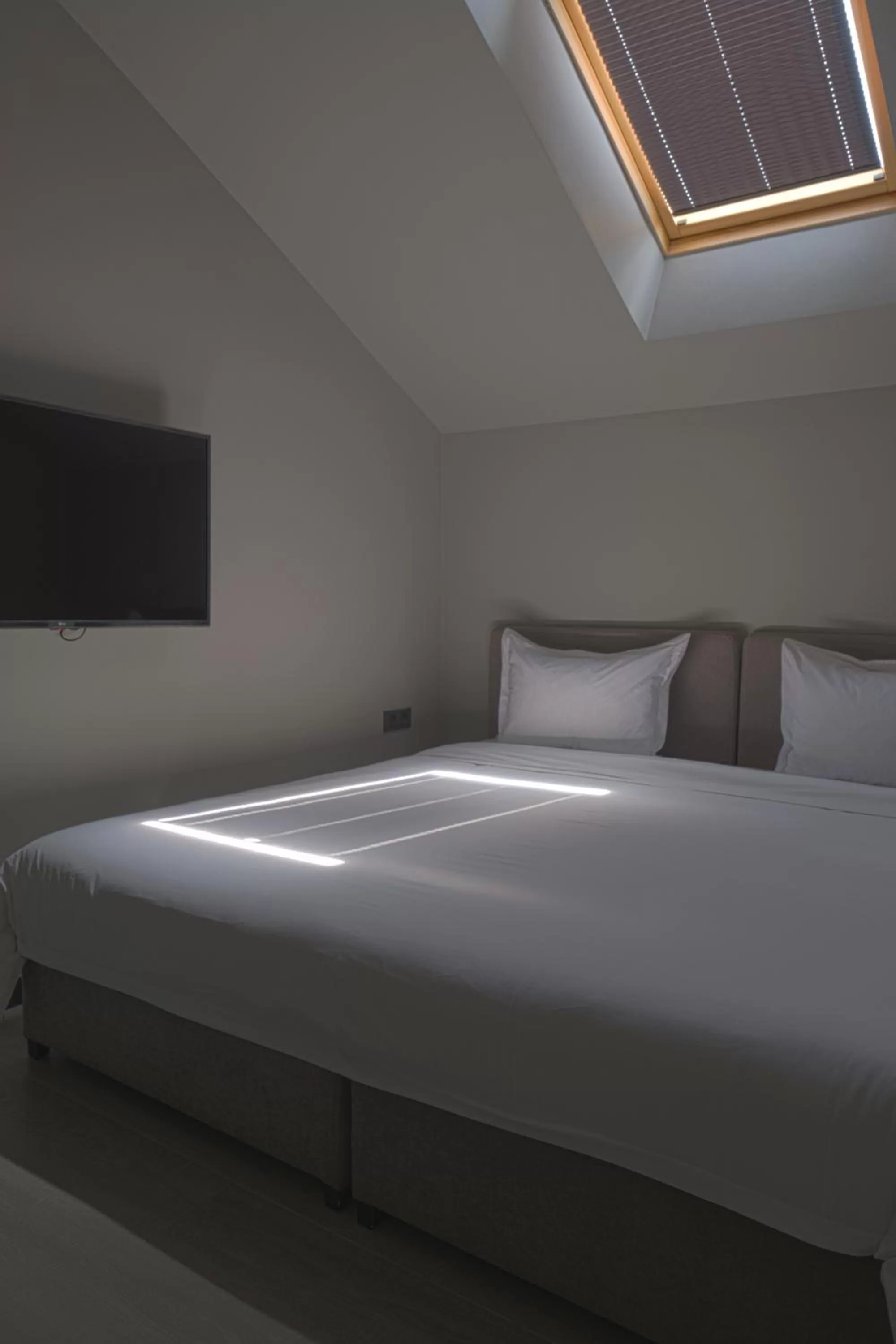 Budget Twin Room in Sapiens Hotel