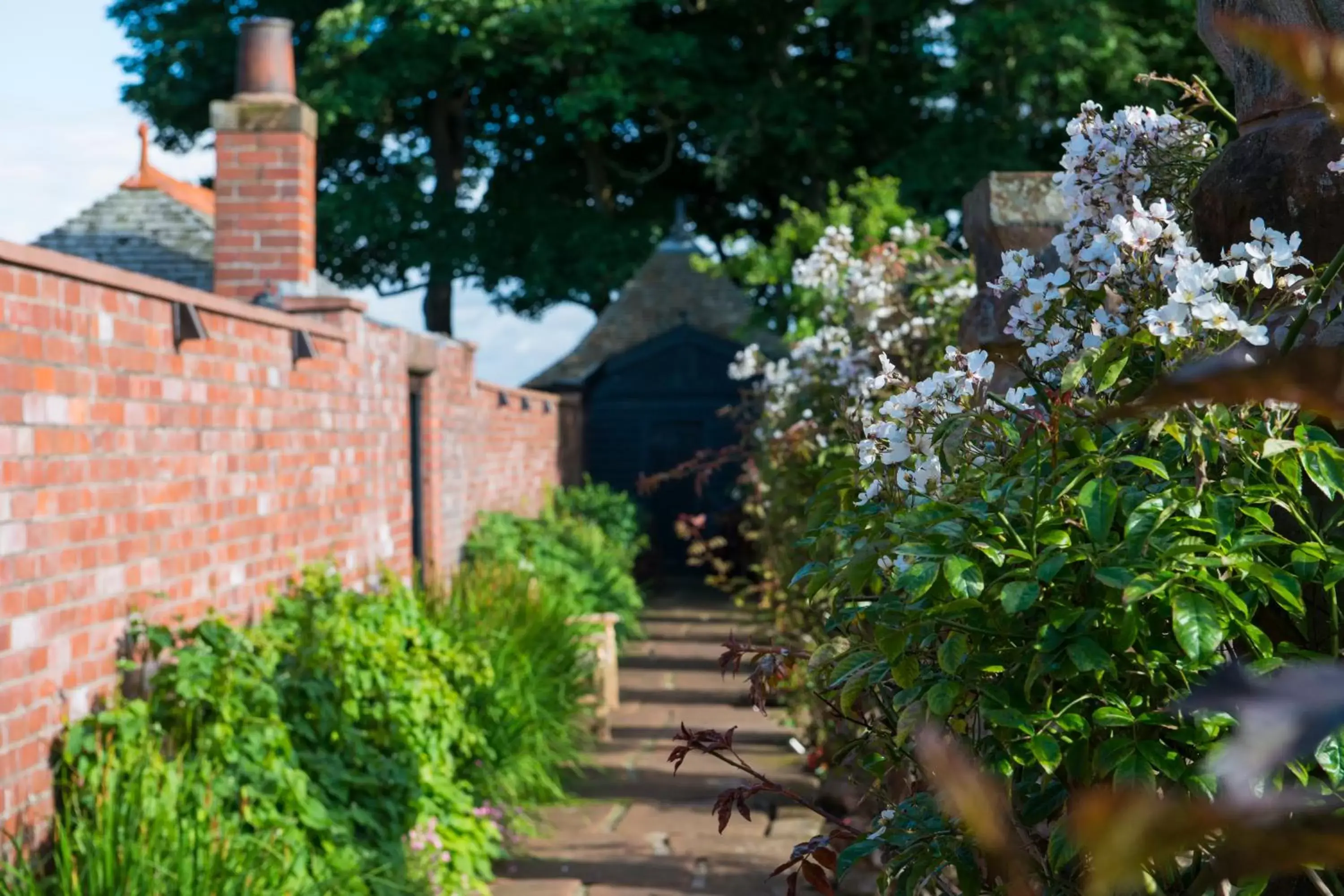 Garden, Facade/Entrance in Piersland House