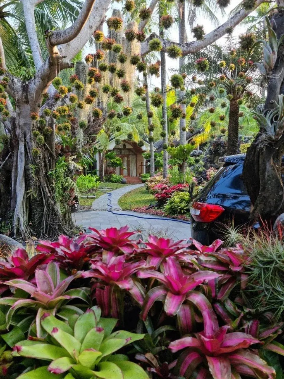 Garden in Coco Palm Beach Resort & Spa