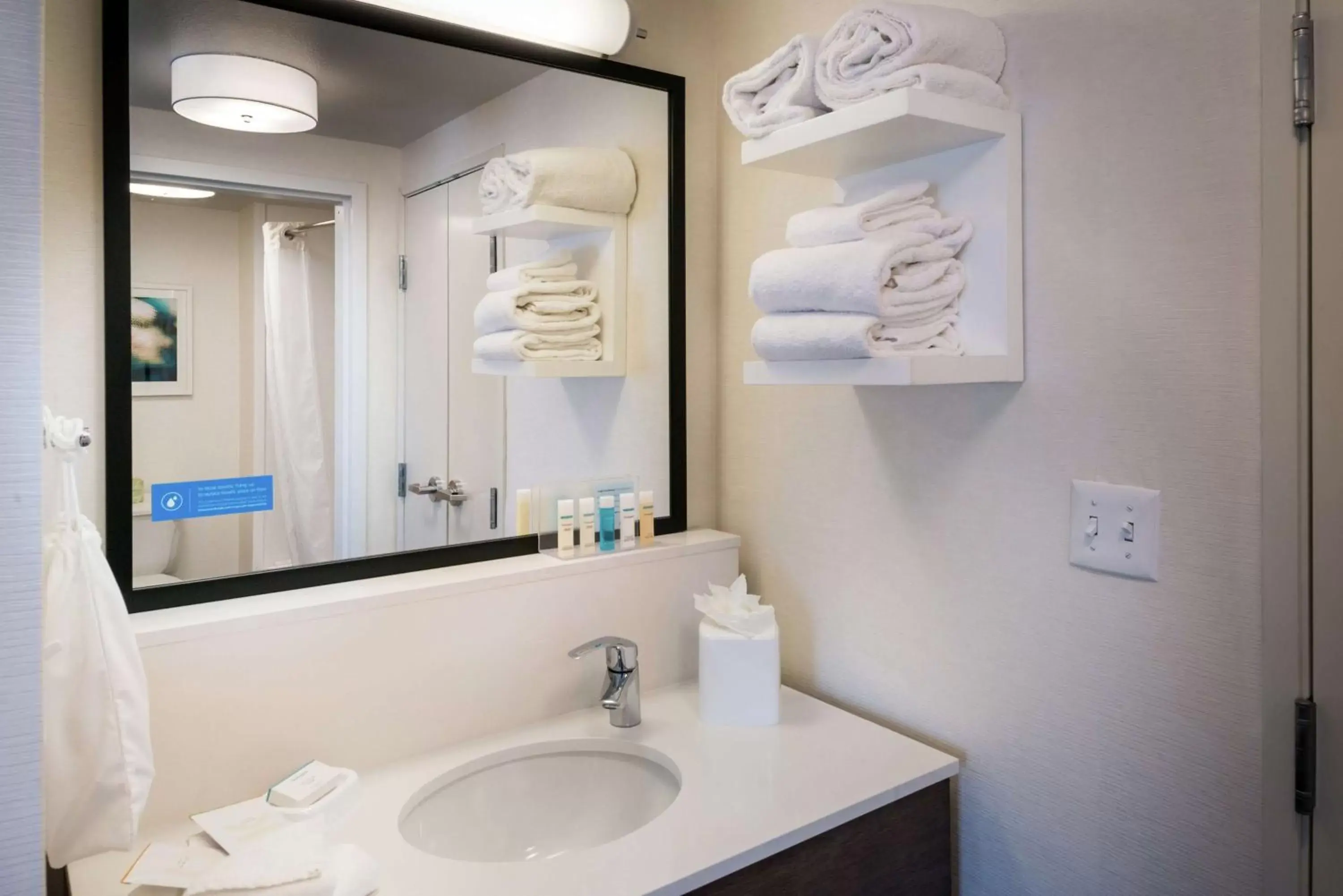 Bathroom in Hampton Inn & Suites Carson City