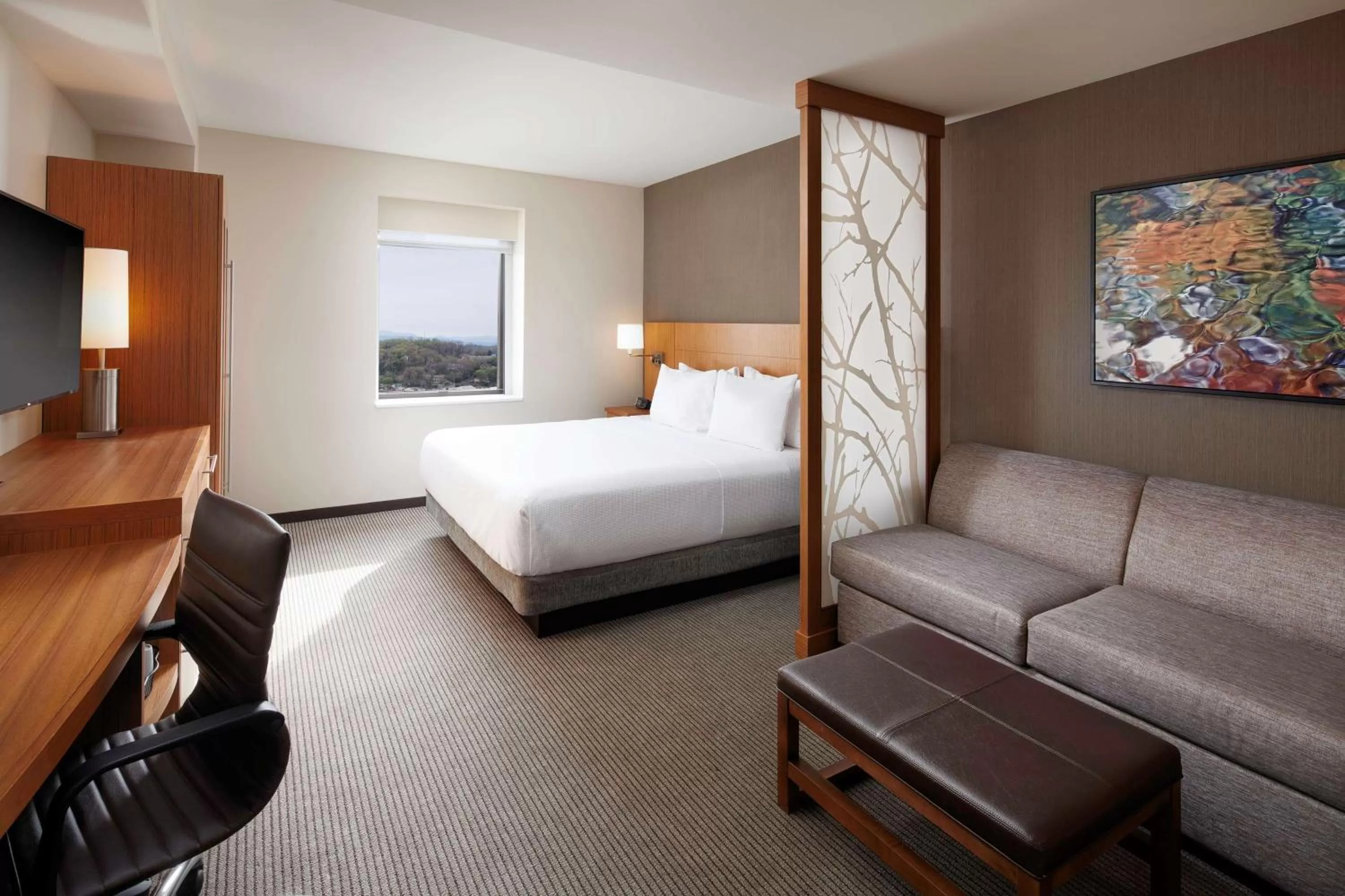 Photo of the whole room, Bed in Hyatt Place Knoxville/Downtown