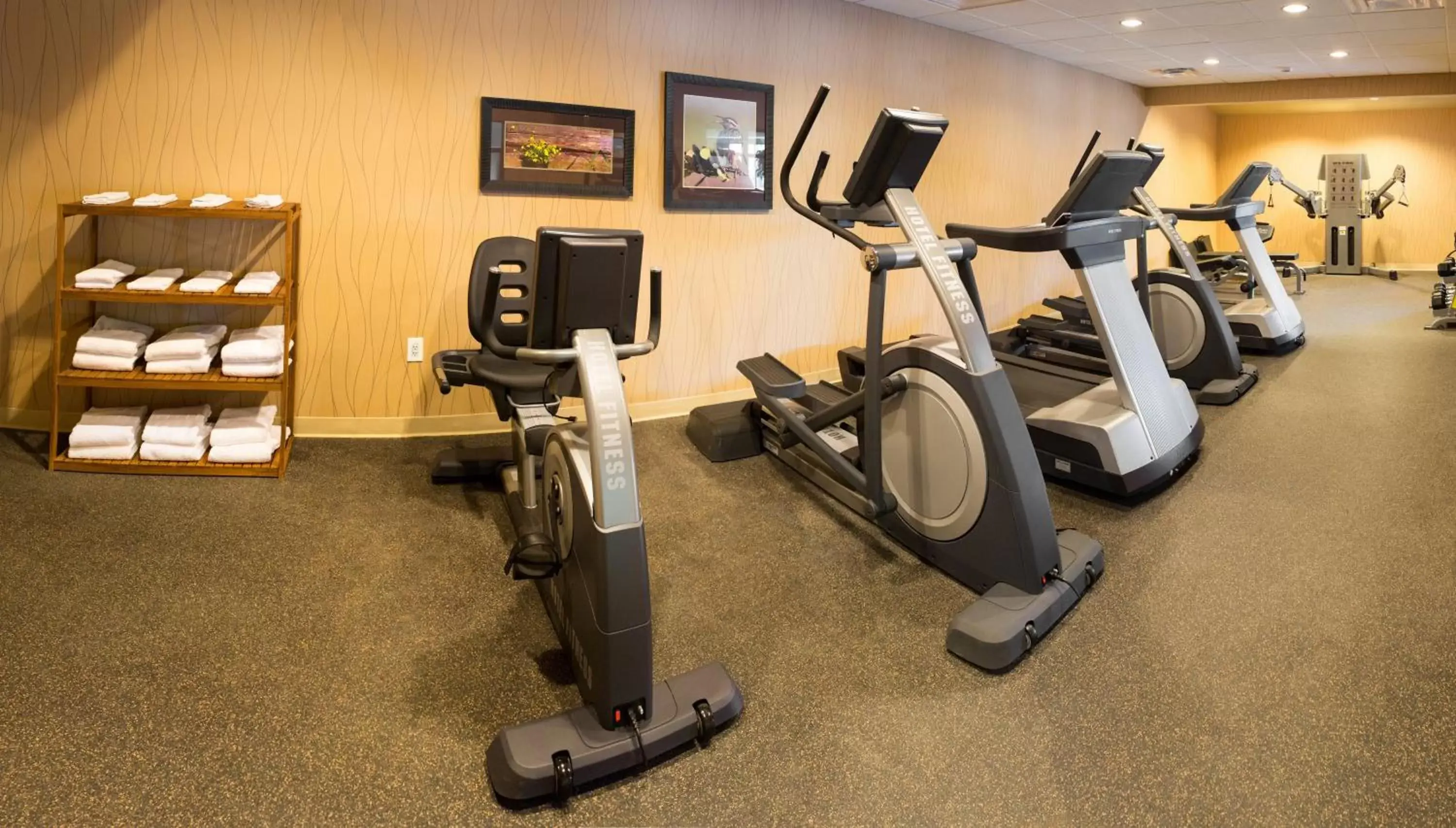 Fitness centre/facilities, Fitness Center/Facilities in Little Missouri Inn & Suites Watford City