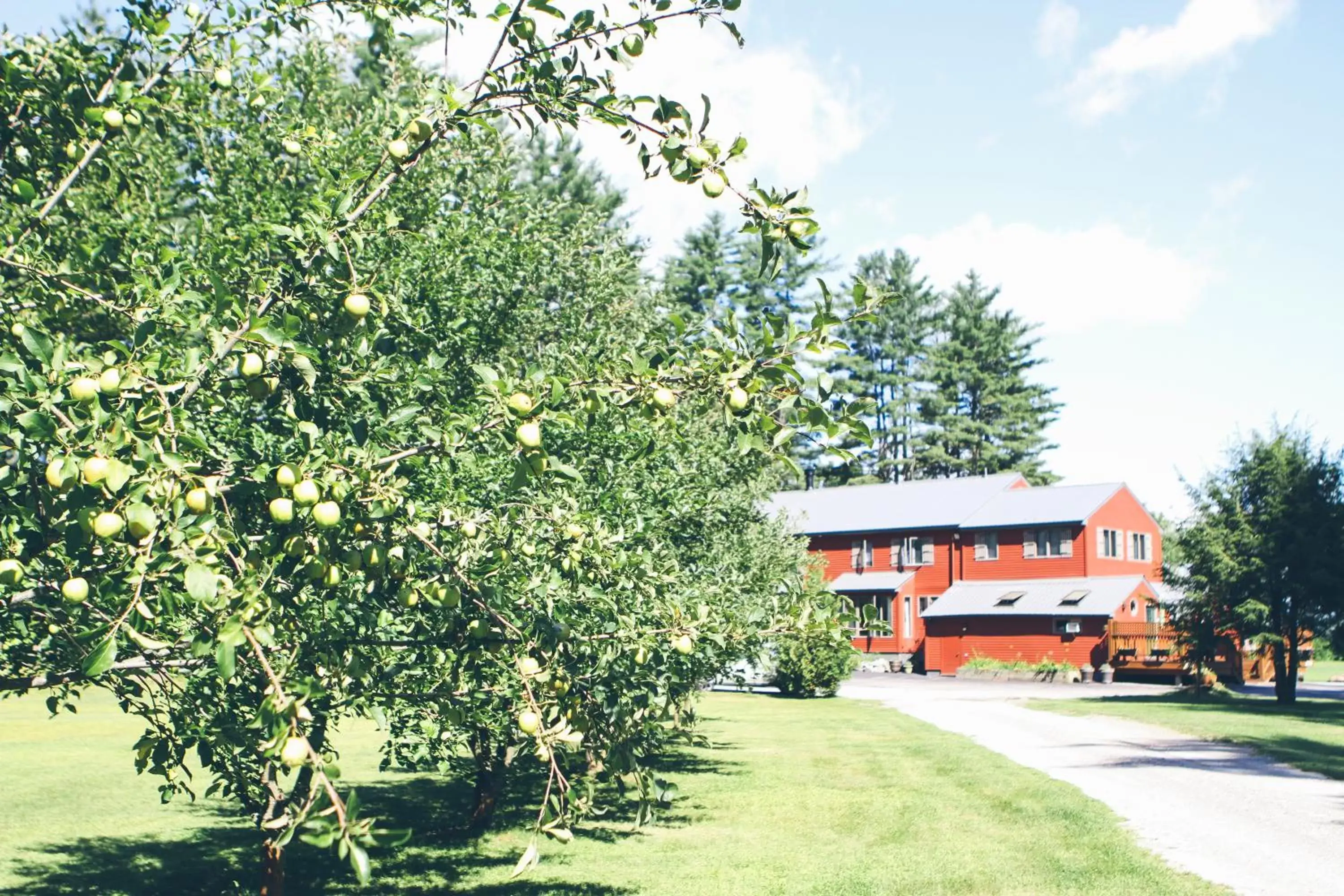 Property Building in Old Saco Inn