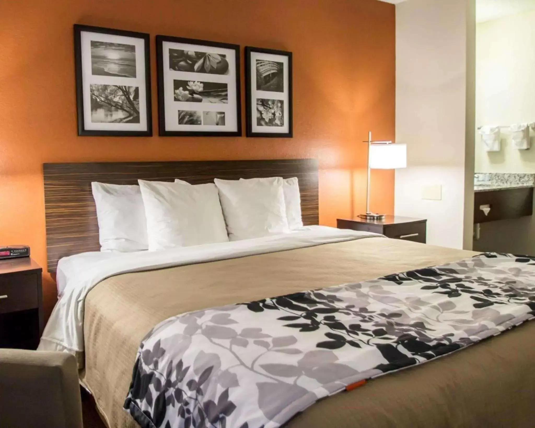 Property building, Bed in Sleep Inn Ormond Beach - Daytona