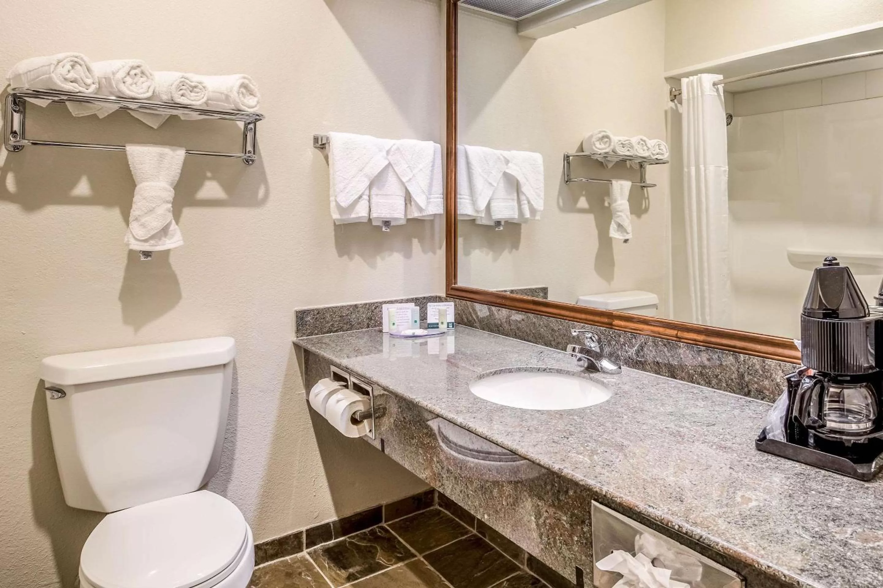 Bathroom in Quality Inn & Suites Seabrook- NASA- Kemah