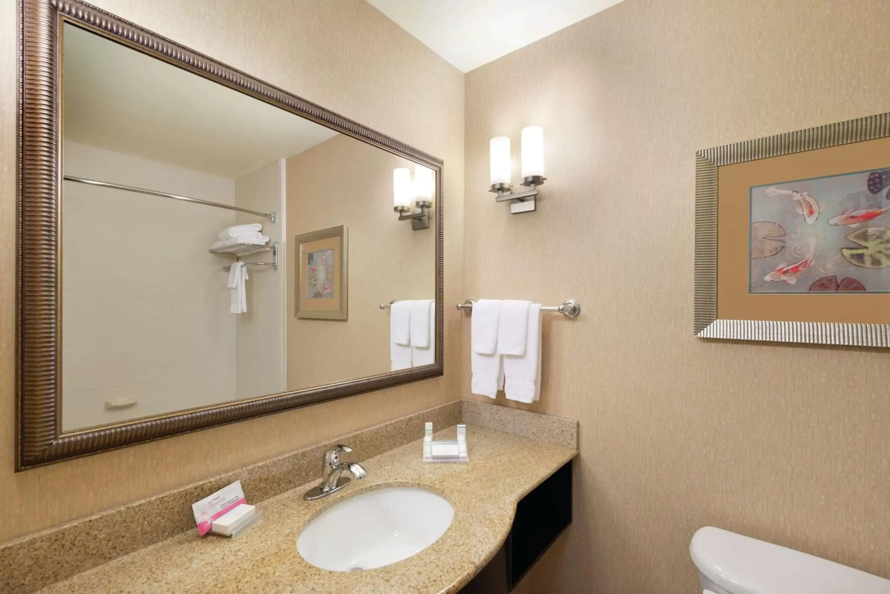 Bathroom in Hilton Garden Inn Warner Robins