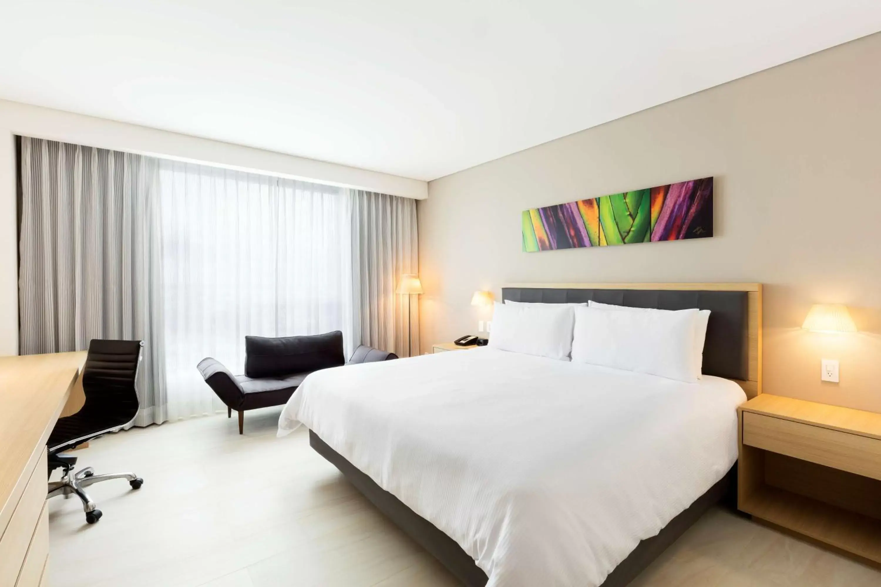 King Room with Roll-In Shower - Mobility Access in Fiesta Inn Mérida Altabrisa King Room with Roll-In Shower - Mobility Access in Fiesta Inn Mérida Altabrisa