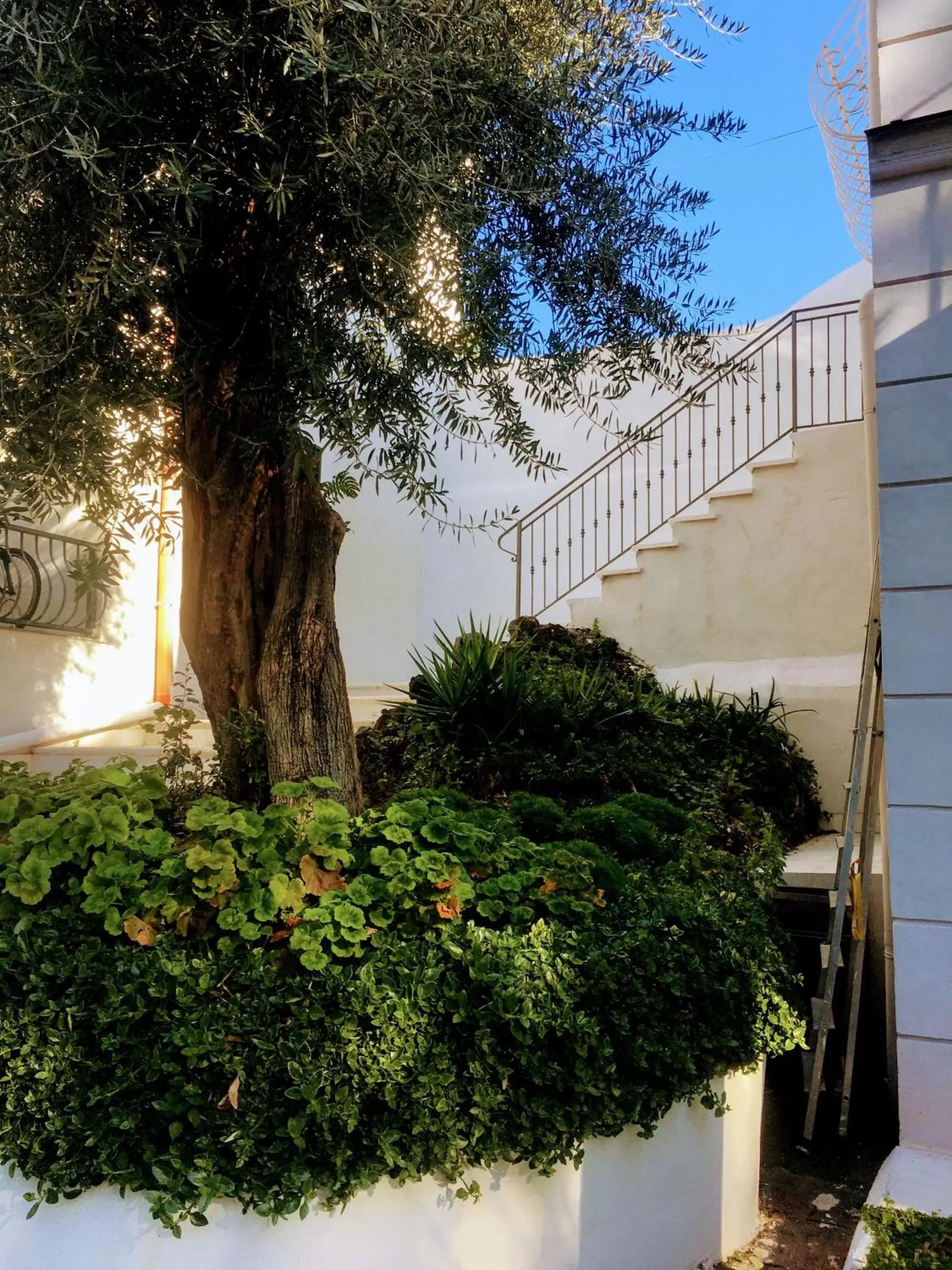 Double Room in B&B Casa Maria Vittoria Double Room in B&B Casa Maria Vittoria