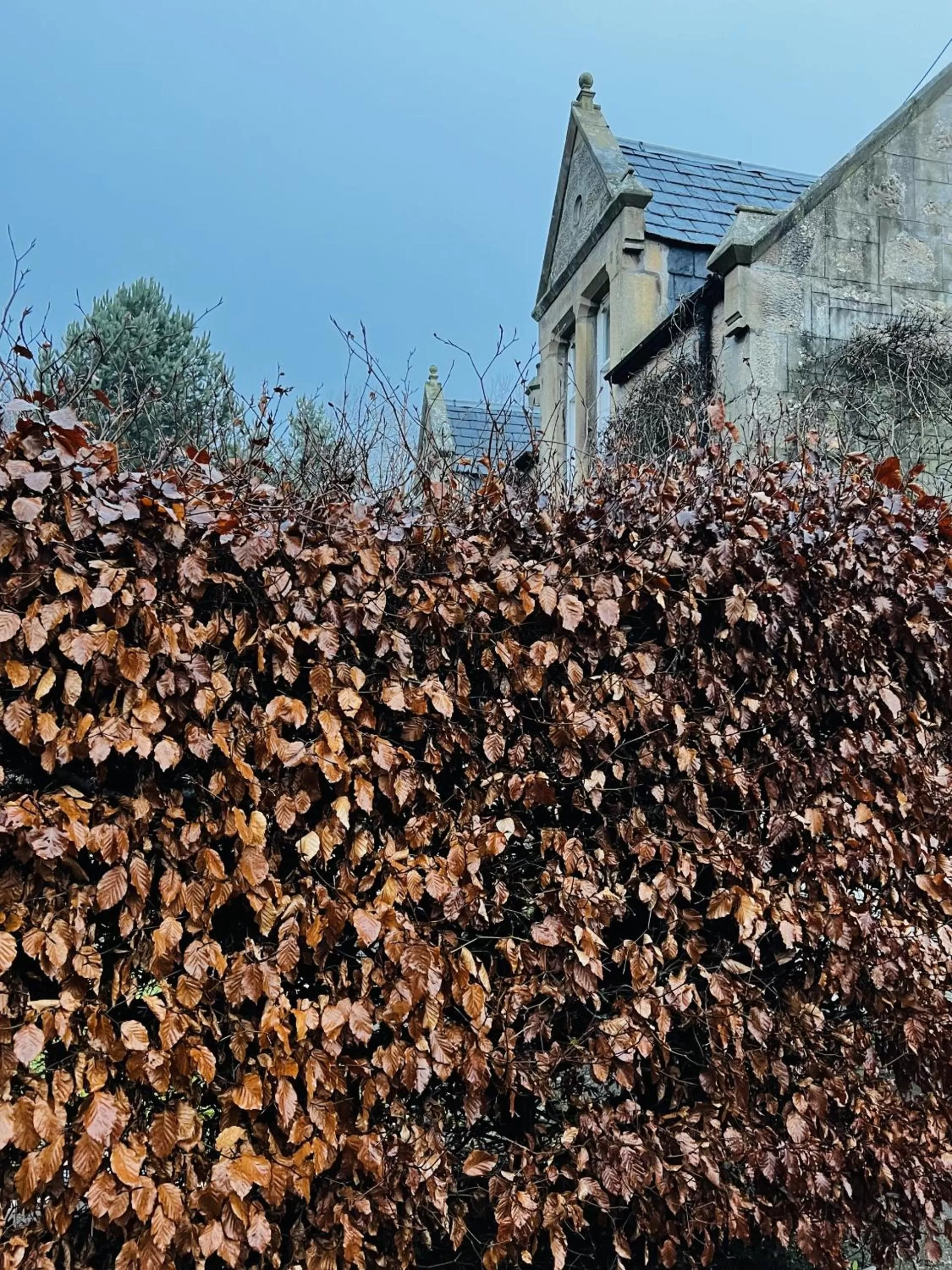 Property Building in St Duthus Villa Guesthouse