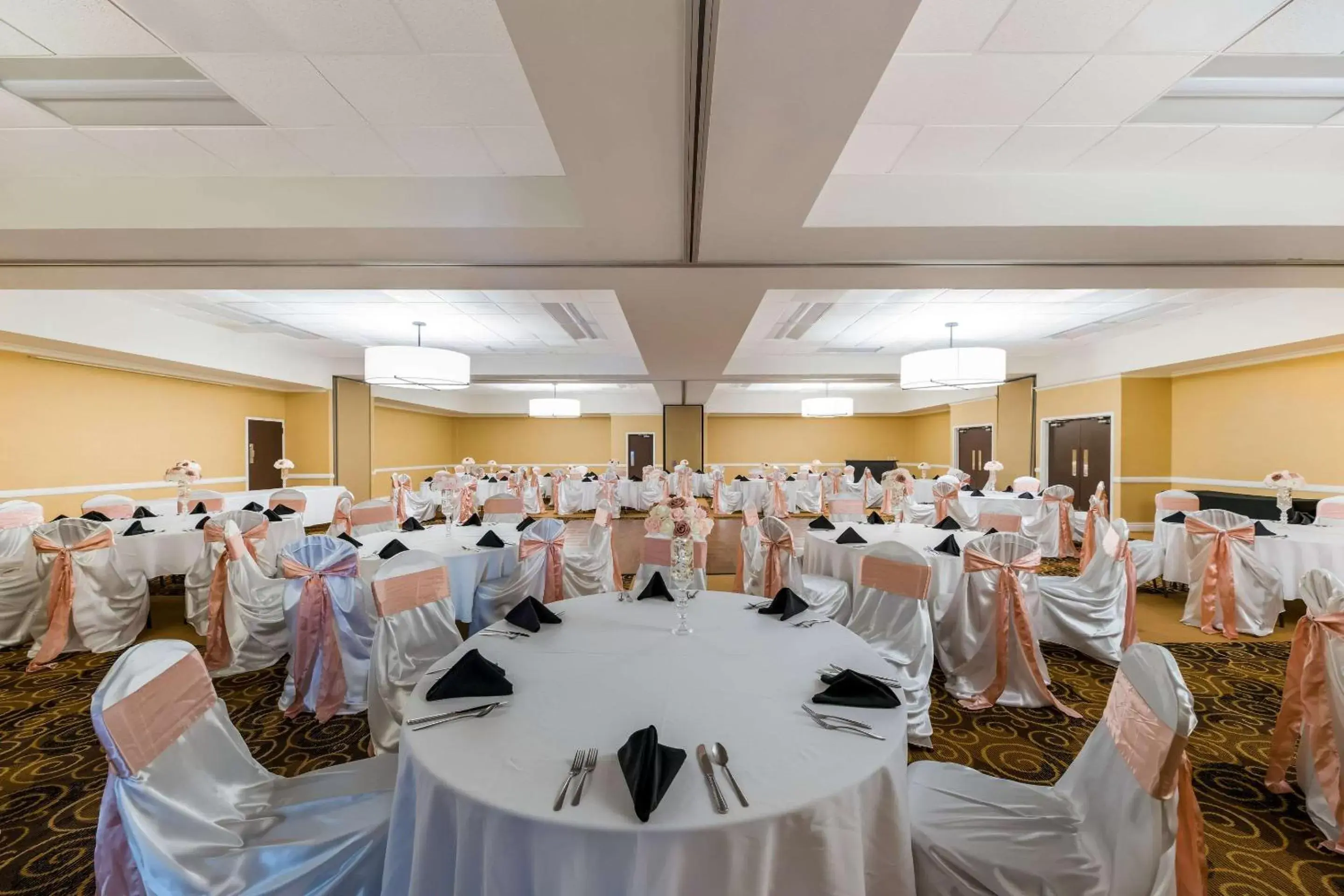 Meeting/conference room, Banquet Facilities in Clarion Hotel San Angelo near Convention Center