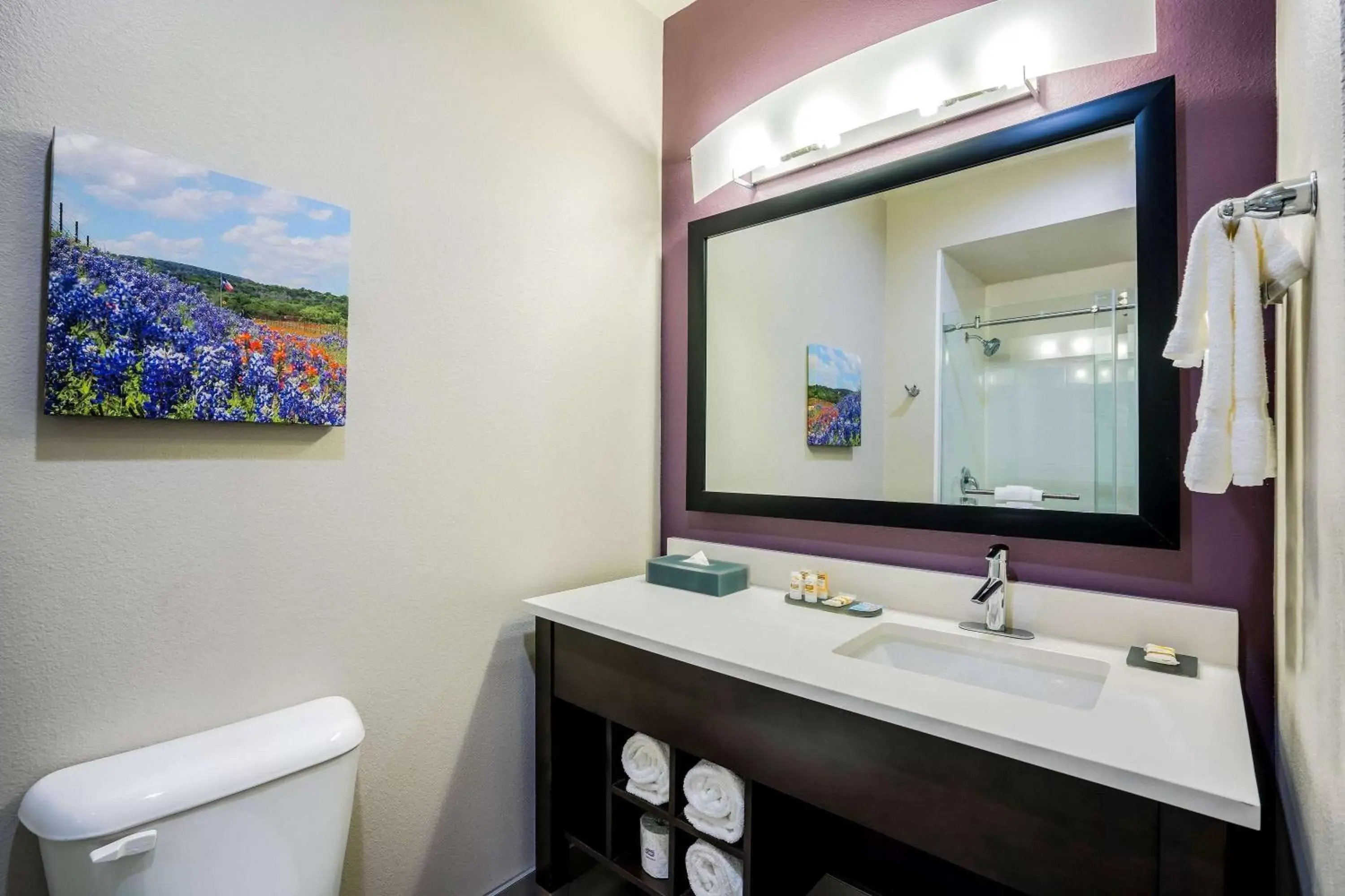 Bathroom in La Quinta by Wyndham Houston Cypress