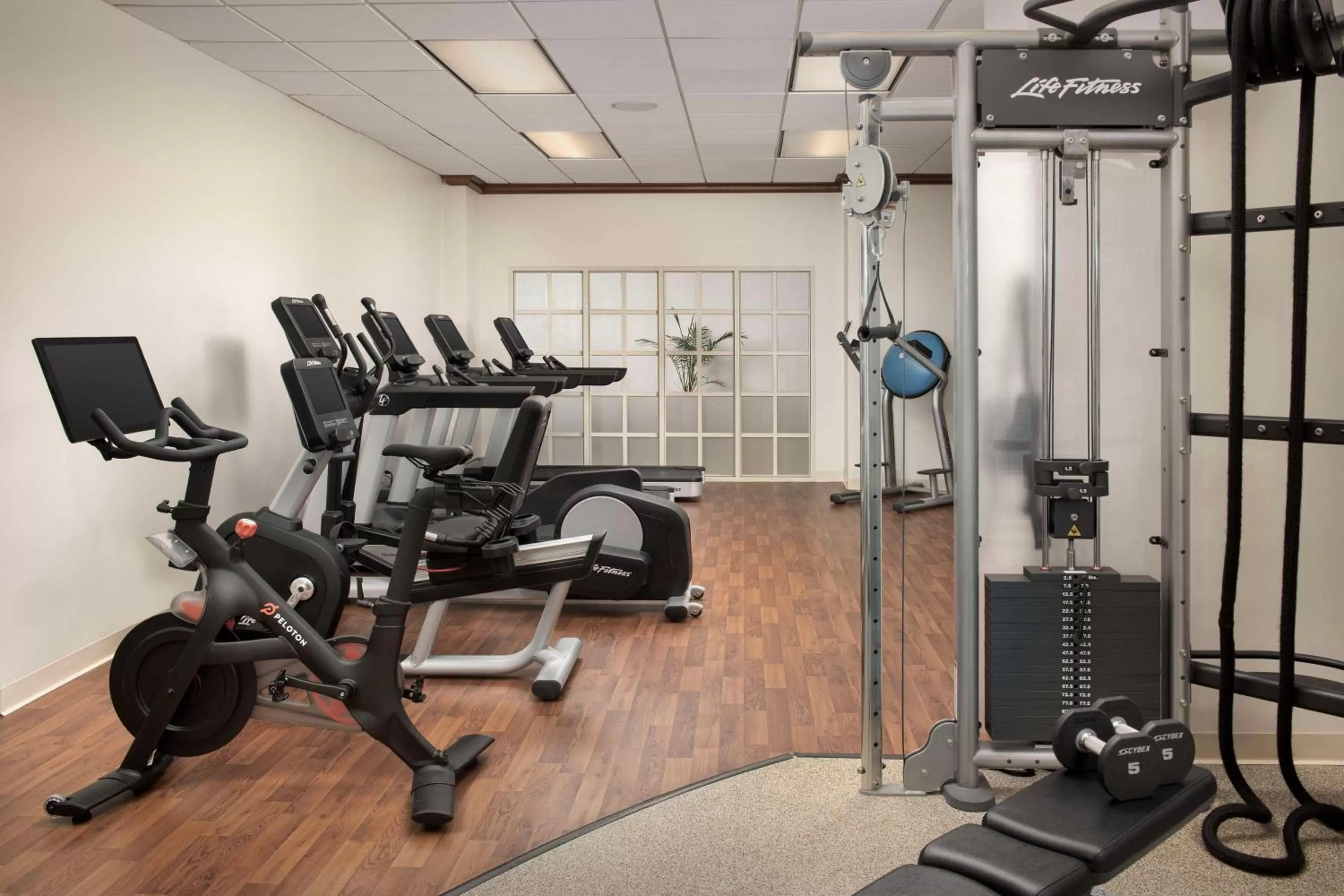 Fitness centre/facilities in Embassy Suites by Hilton Dulles North Loudoun