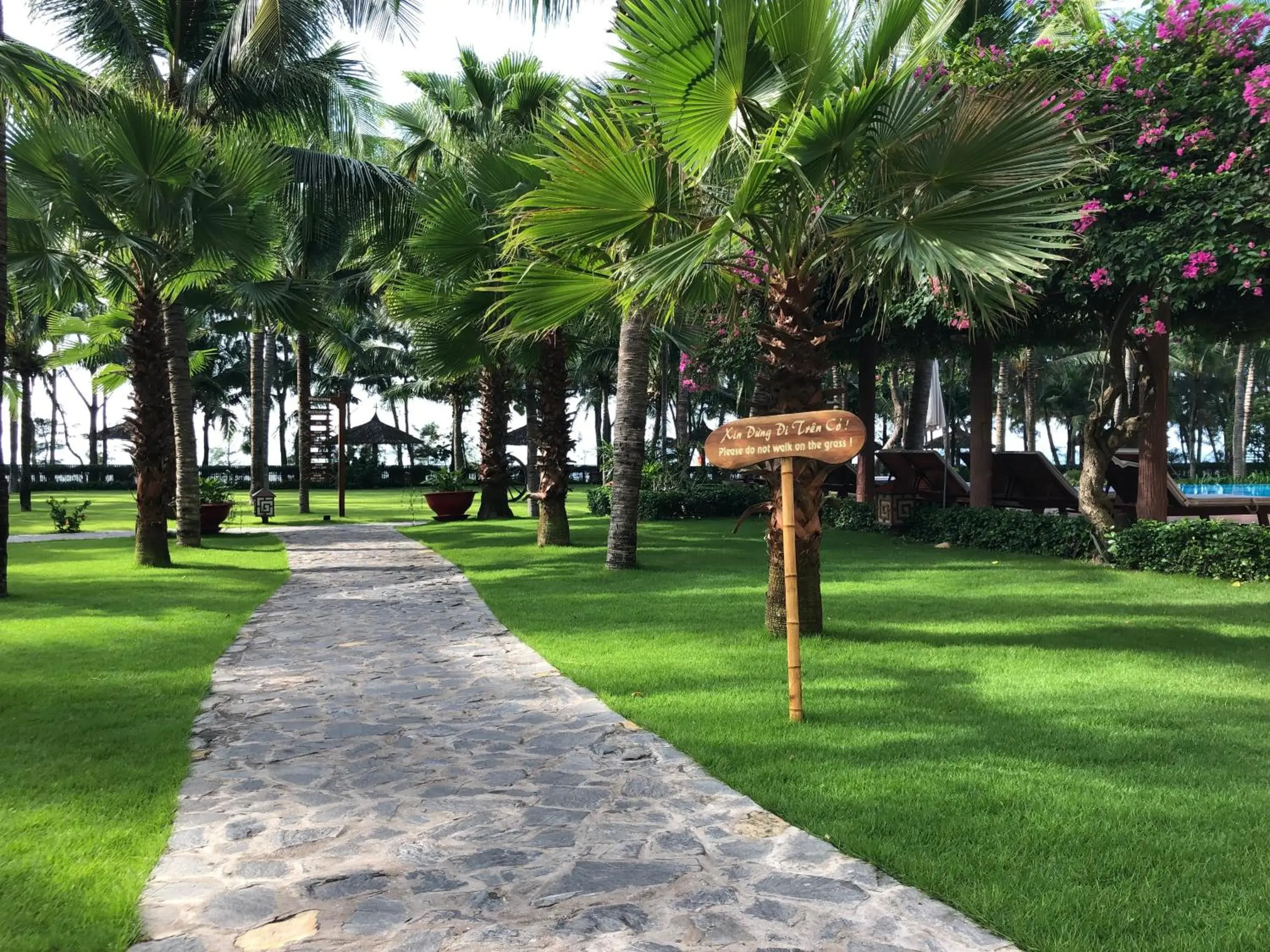 Natural landscape, Garden in Sunny Beach Resort & Spa