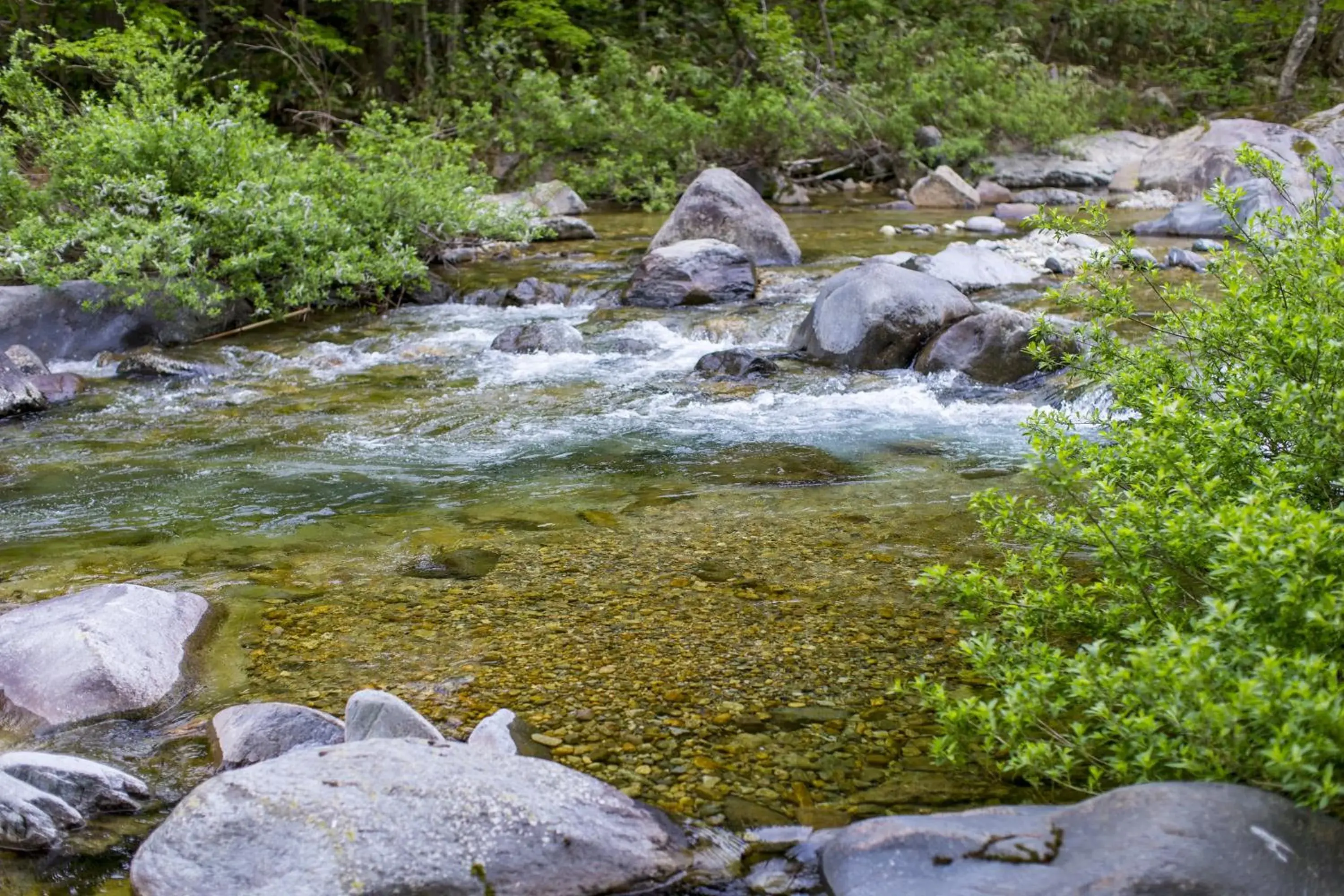 Natural Landscape in Wanosato Ryokan