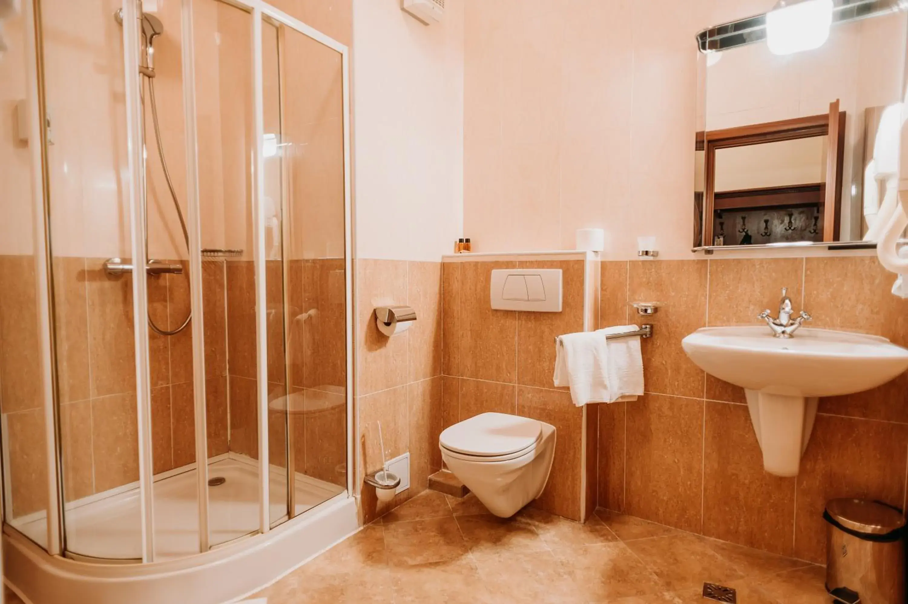 Bathroom in Hotel Coandi