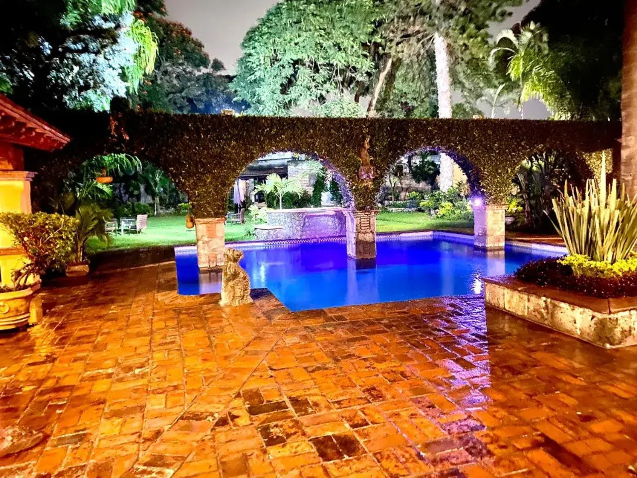 Garden, Swimming Pool in La Joyita