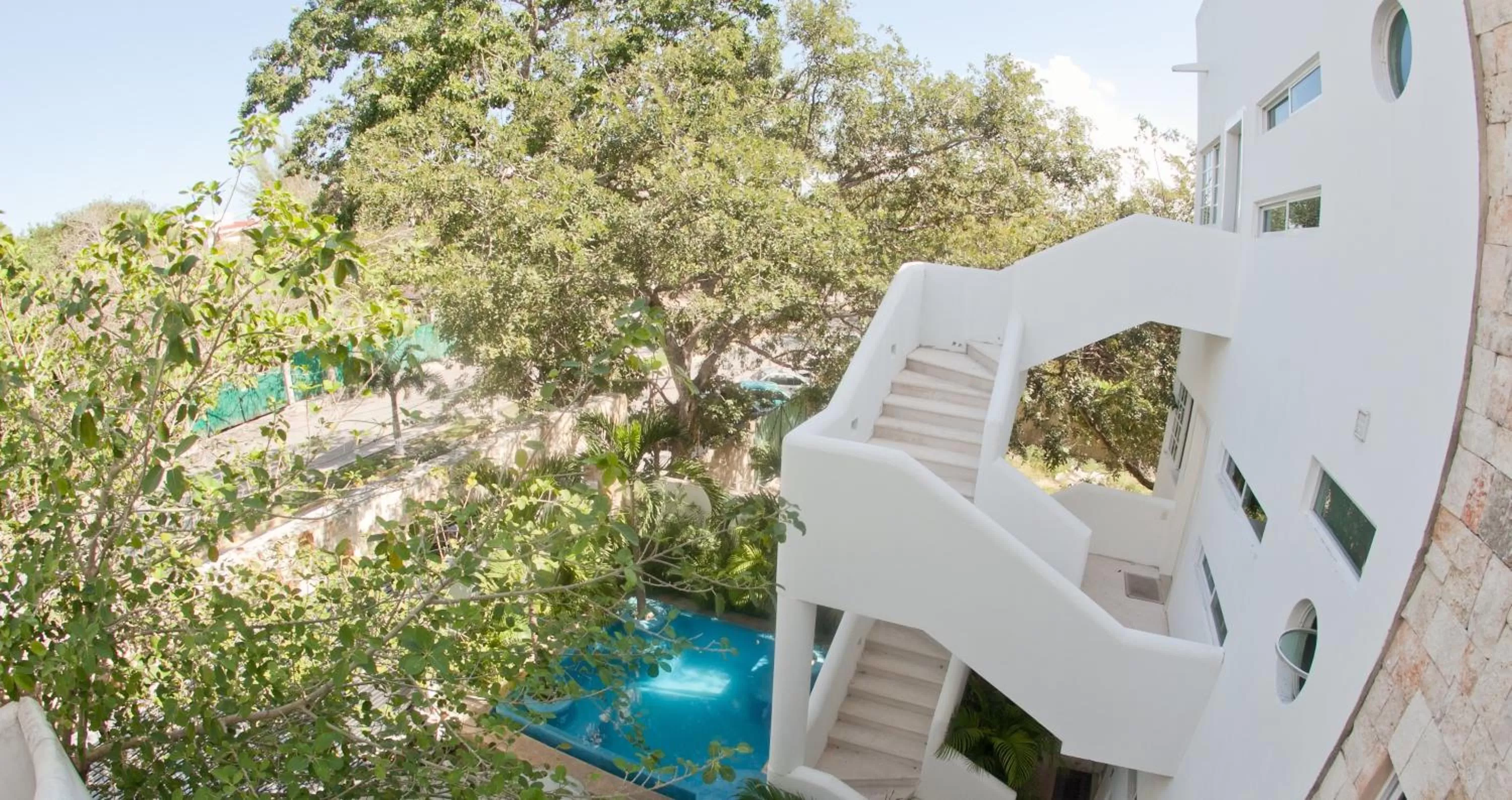 Bird's eye view in Nasim Condo Hotel con acceso BEACH CLUB GRATIS, metros 5th AVENIDA