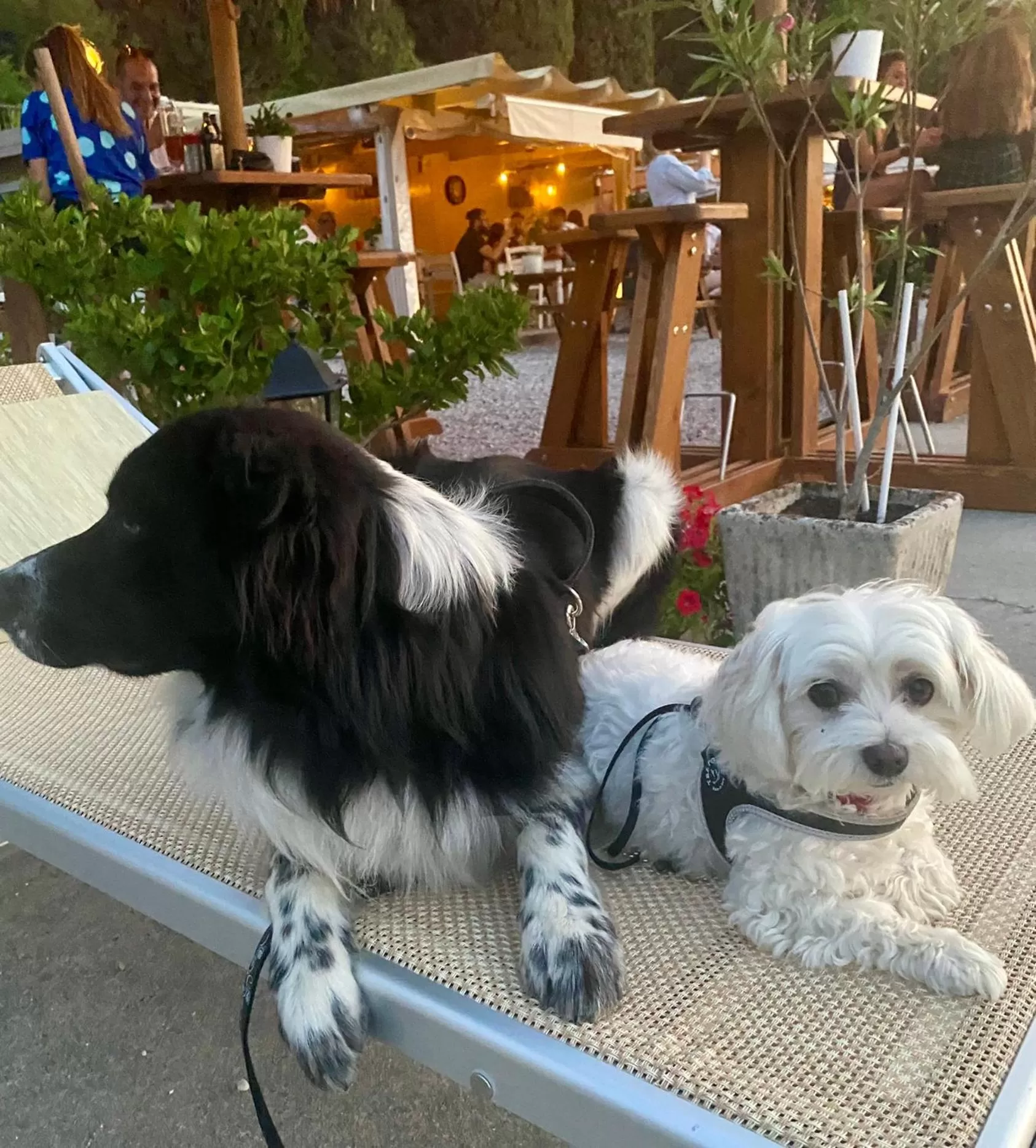 La Casa Di Campagna Sul Garda