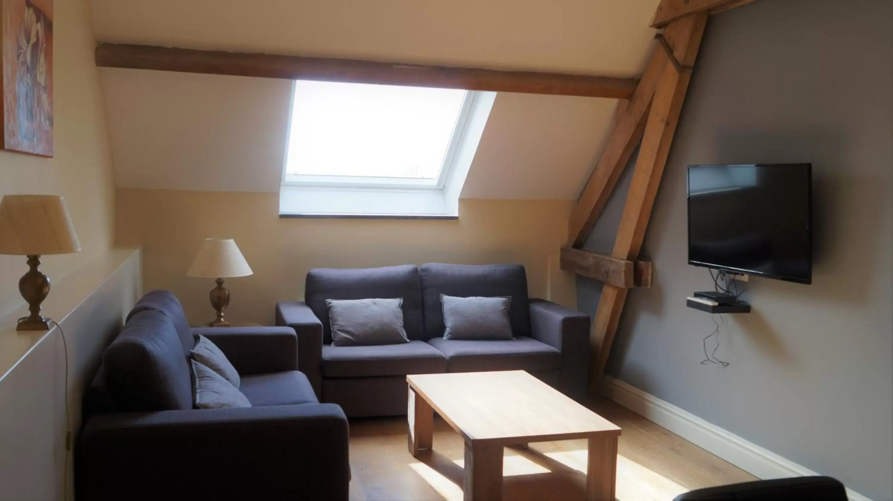 TV and multimedia, Seating Area in B&B Johannes-Hoeve