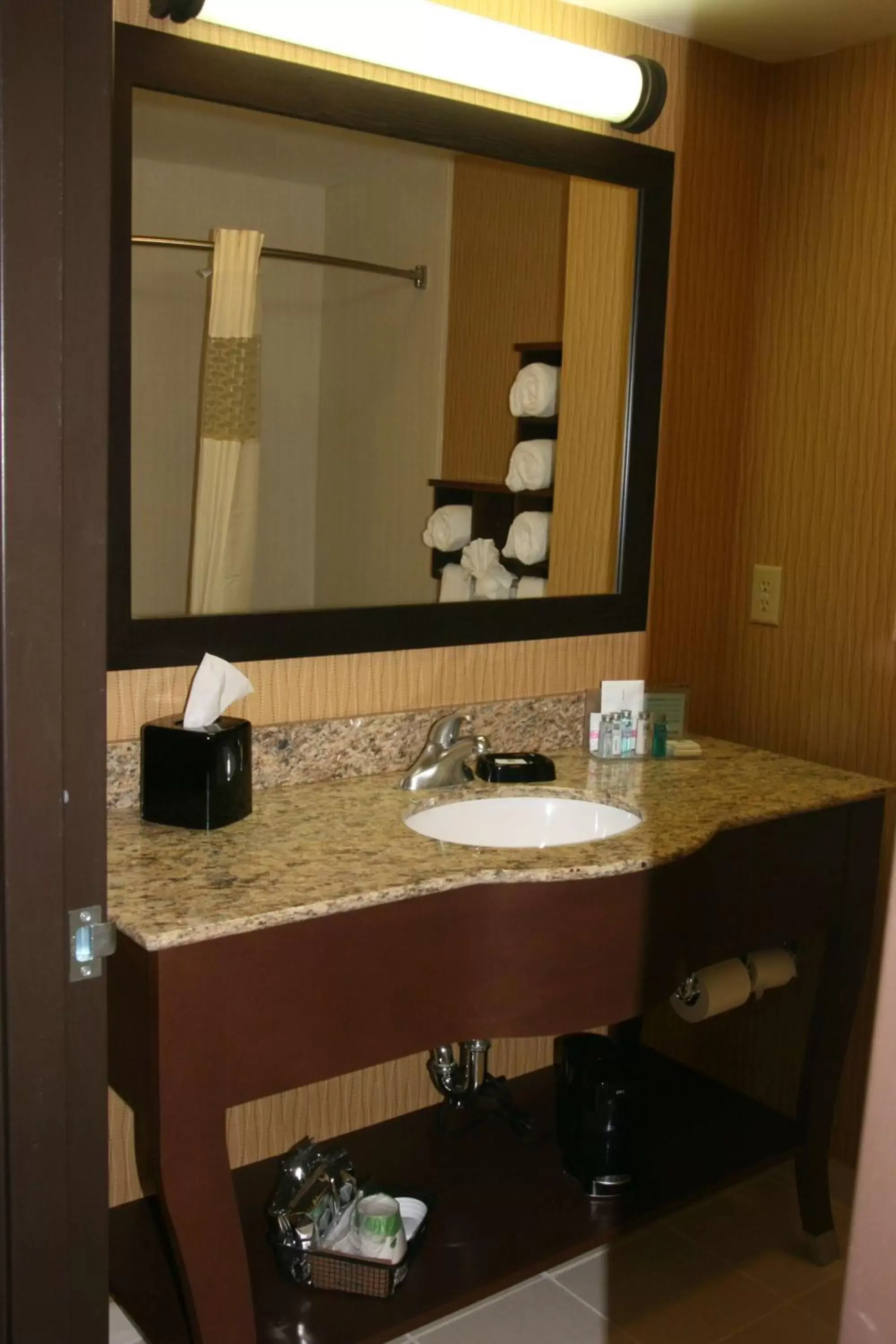 Bathroom in Hampton Inn and Suites Peru