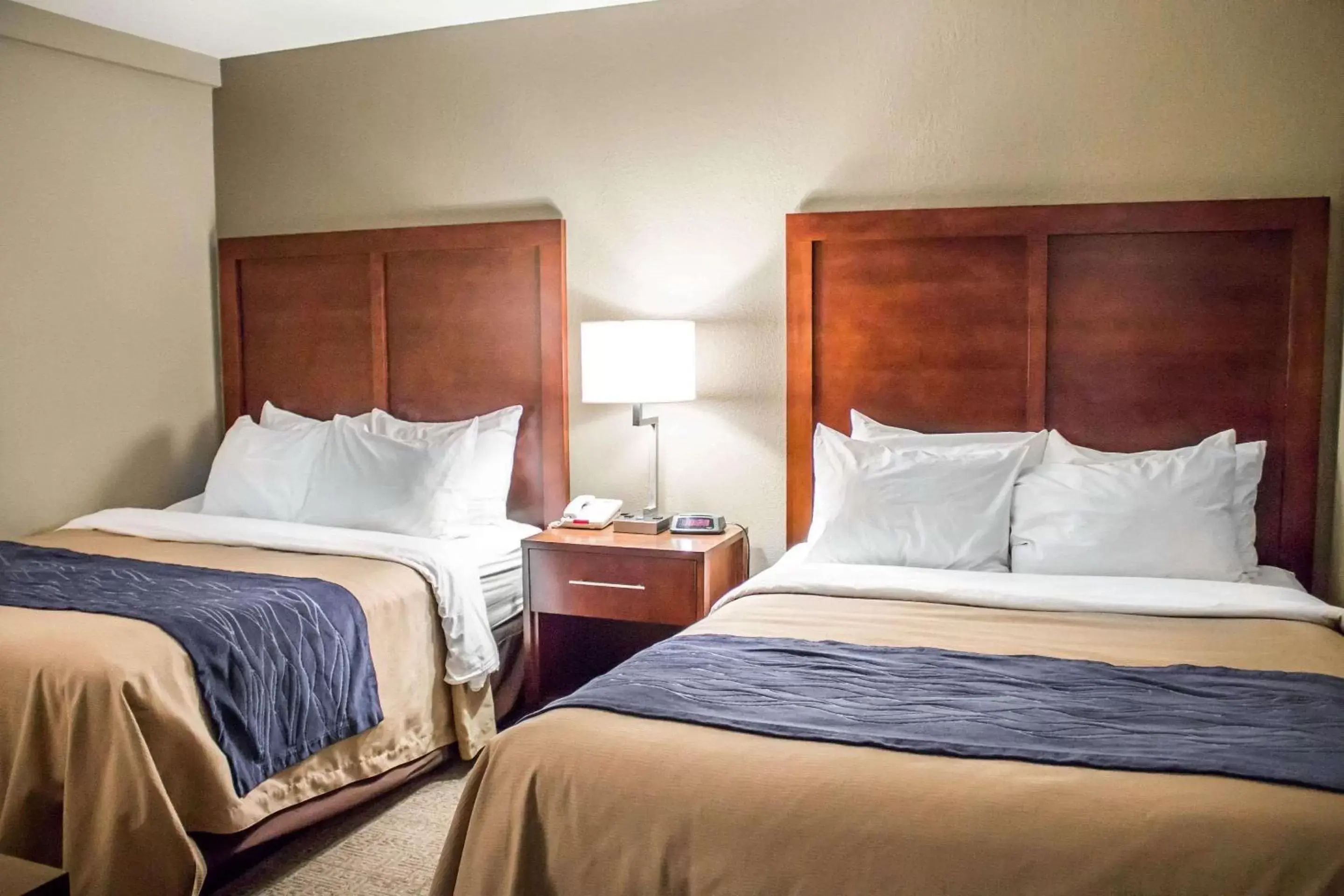 Photo of the whole room, Bed in Comfort Inn & Suites Fremont