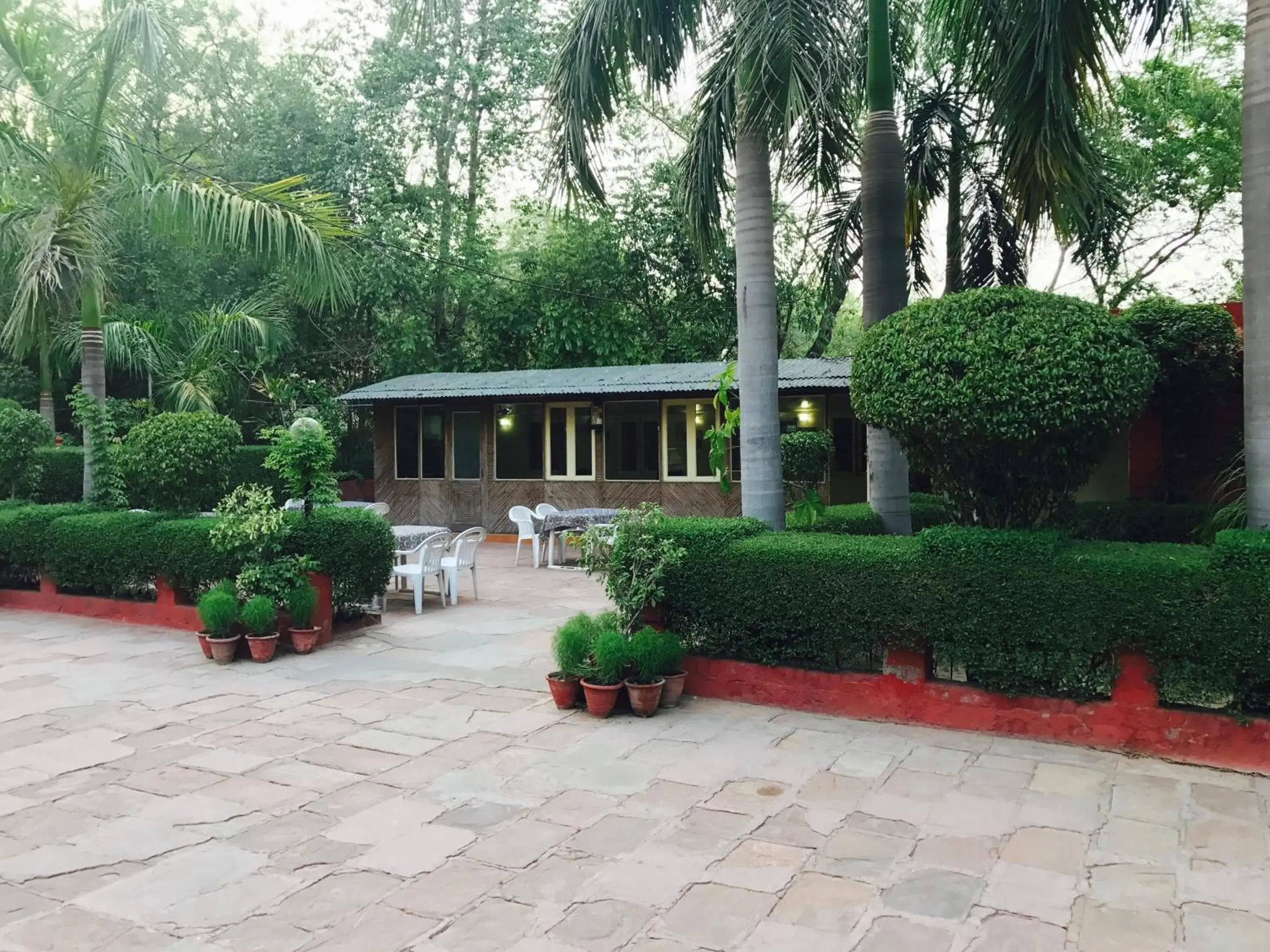 Meals, Property Building in Hotel Sheela