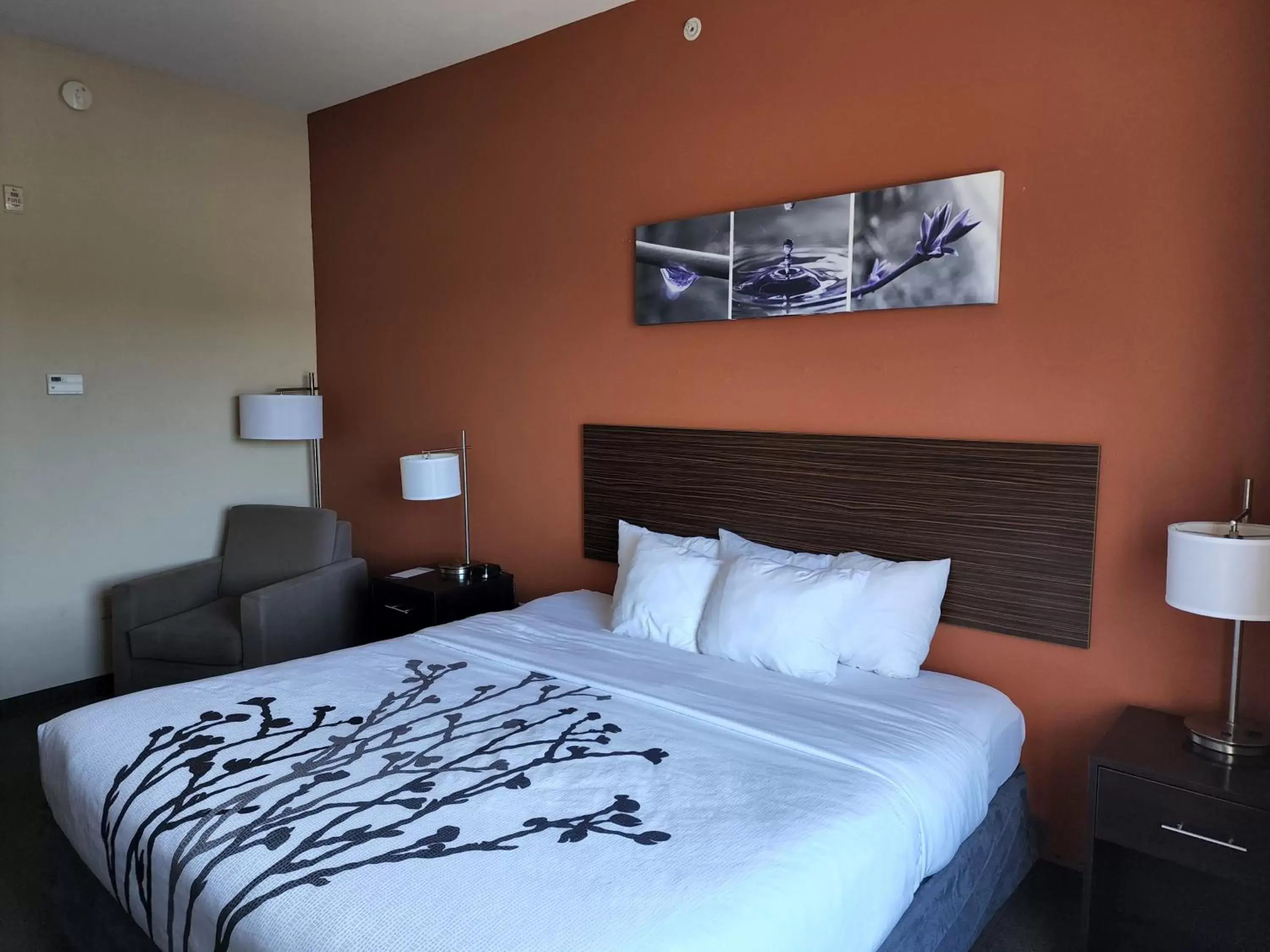 Bed in Sleep Inn & Suites Dyersburg I-155
