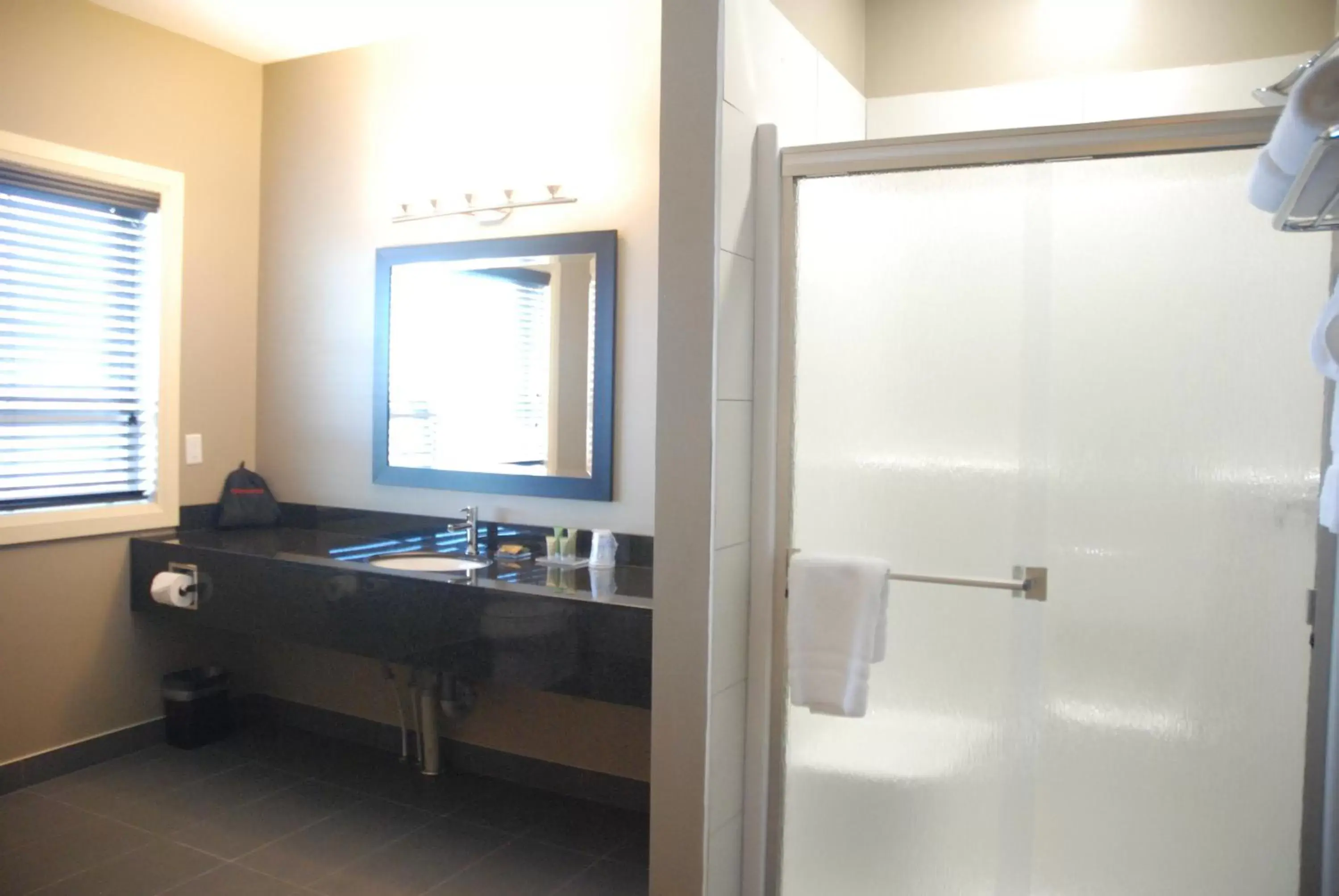Bathroom in Best Western PLUS Fort Saskatchewan Inn & Suites
