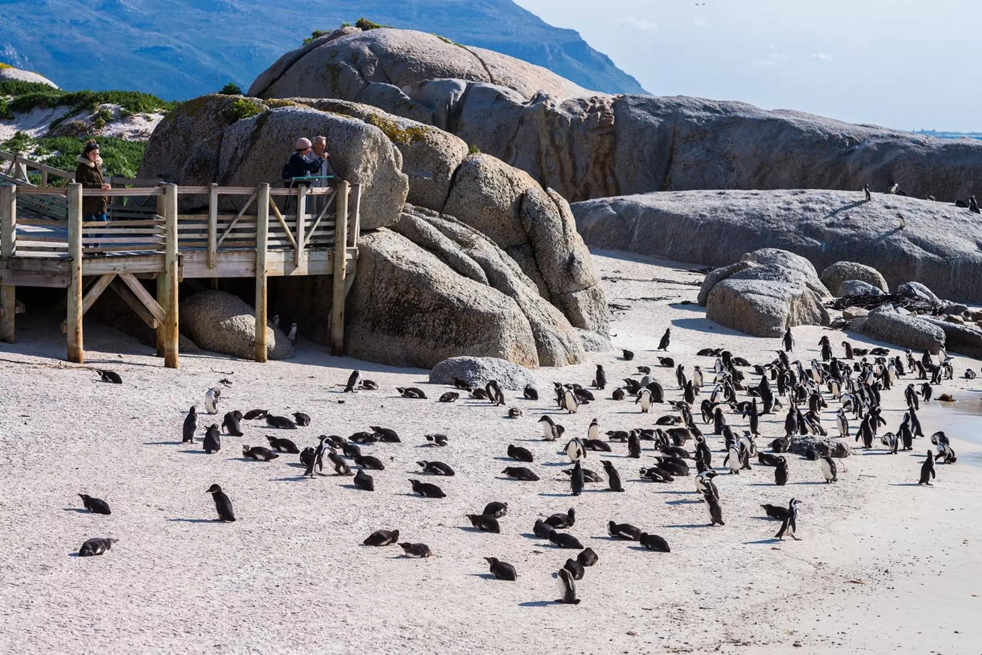 Nearby landmark in Simon's Town Quayside Hotel