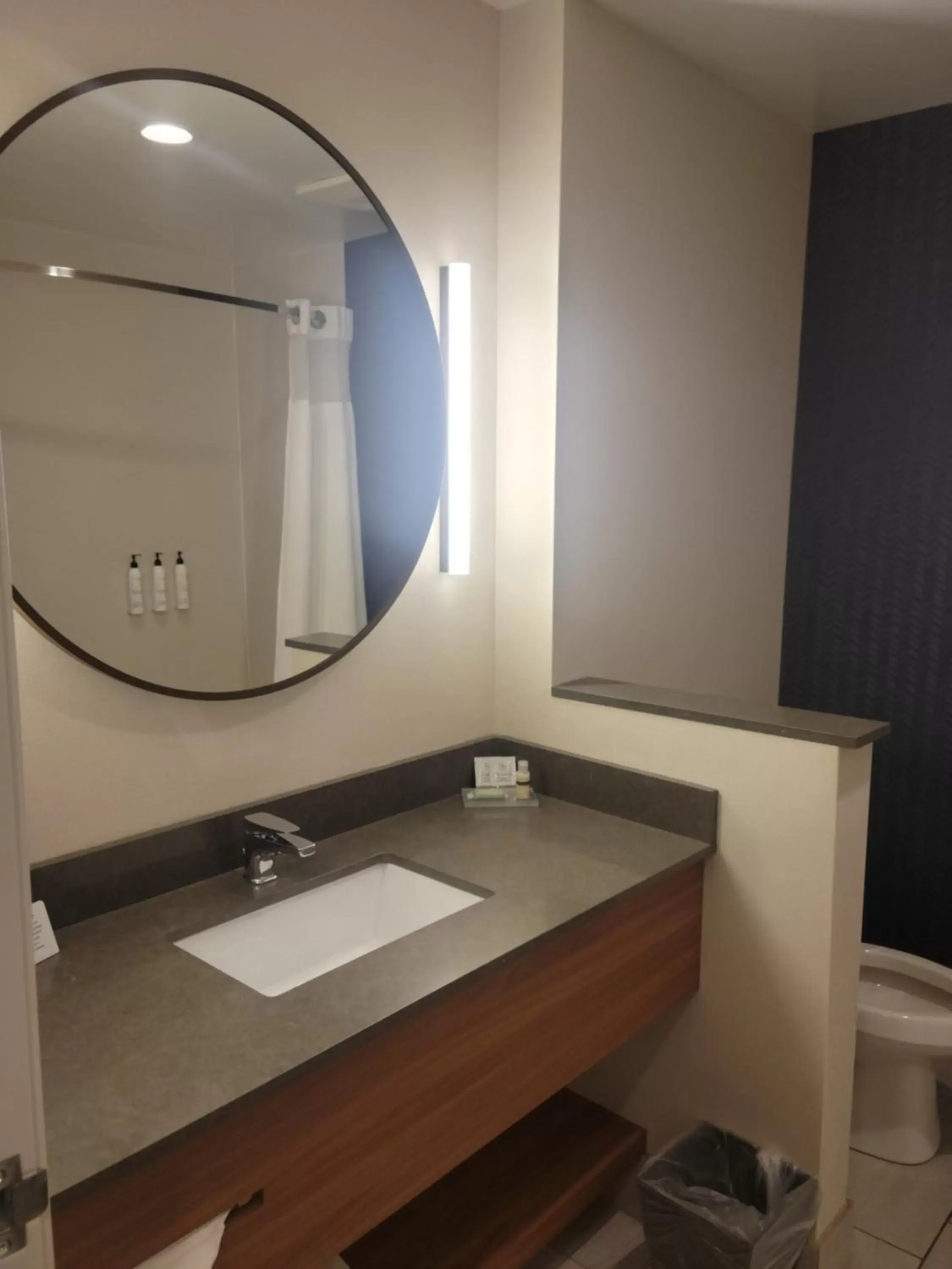 Bathroom in Fairfield Inn & Suites by Marriott Athens