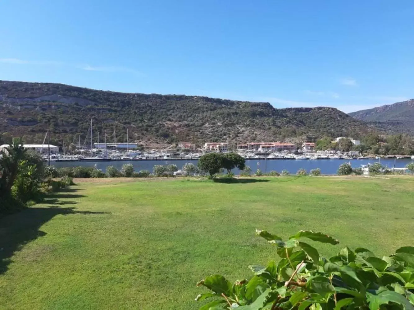Garden view in Hotel Baja Romantica Garden view in Hotel Baja Romantica