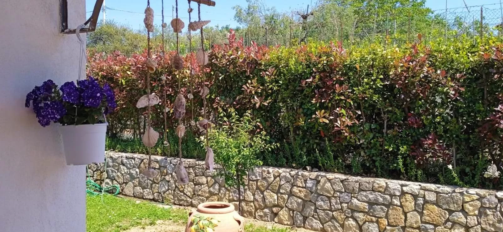 Garden in In Vino Veritas