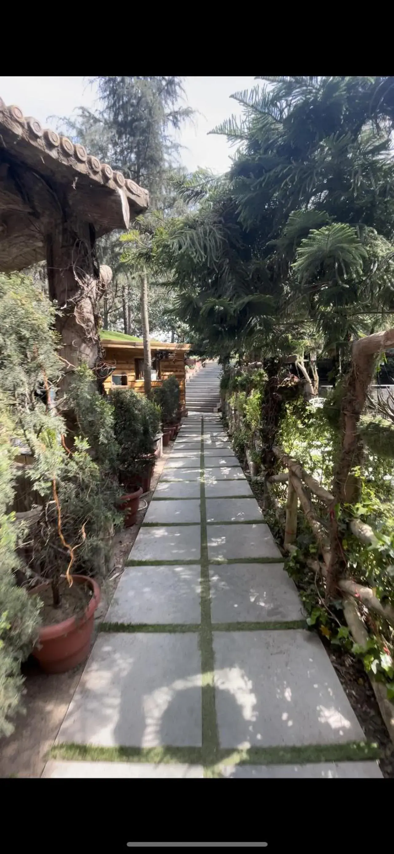 Neighbourhood in Kasauli Castle Resort