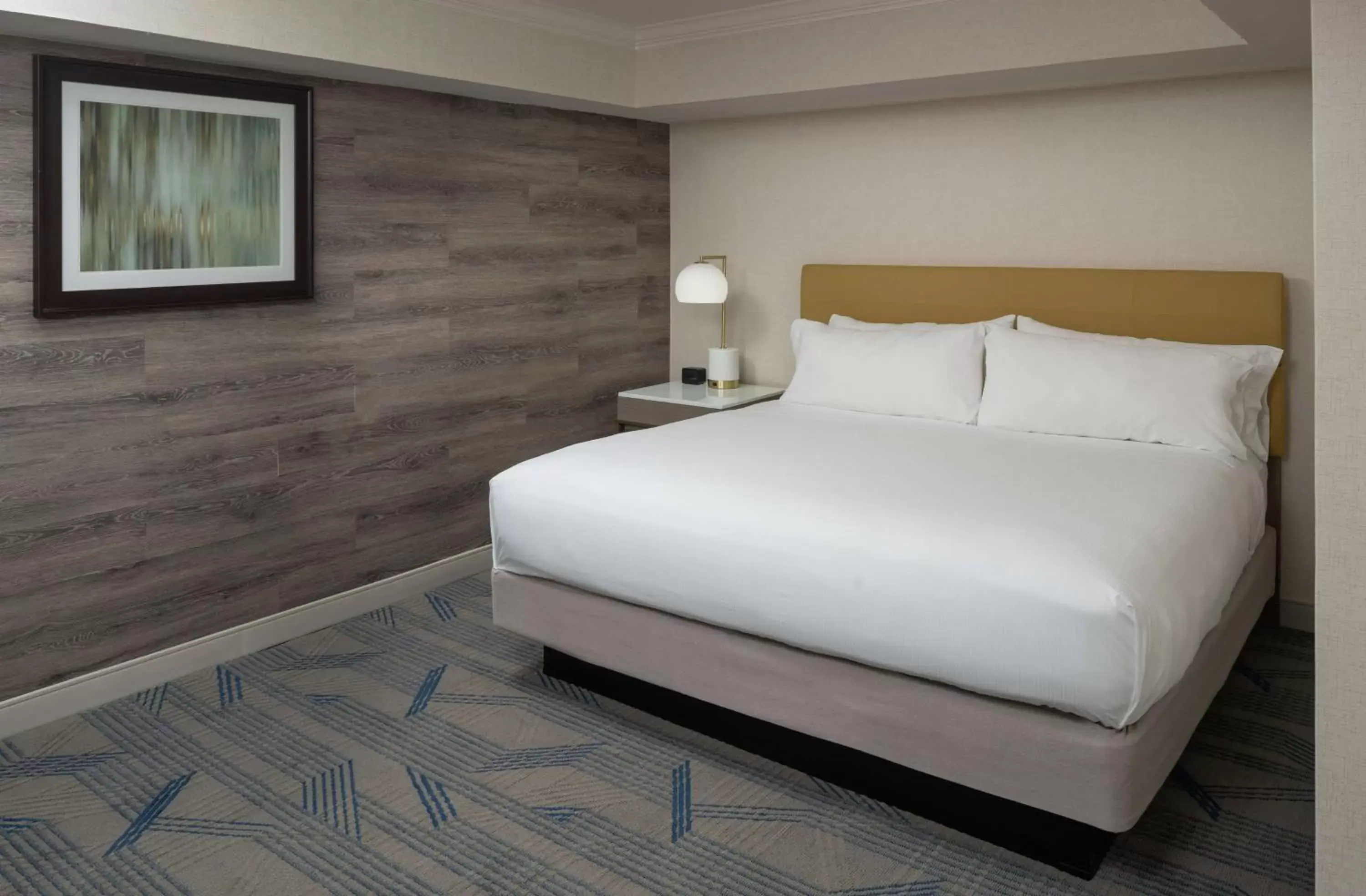 Bed in Hilton Durham near Duke University Bed in Hilton Durham near Duke University