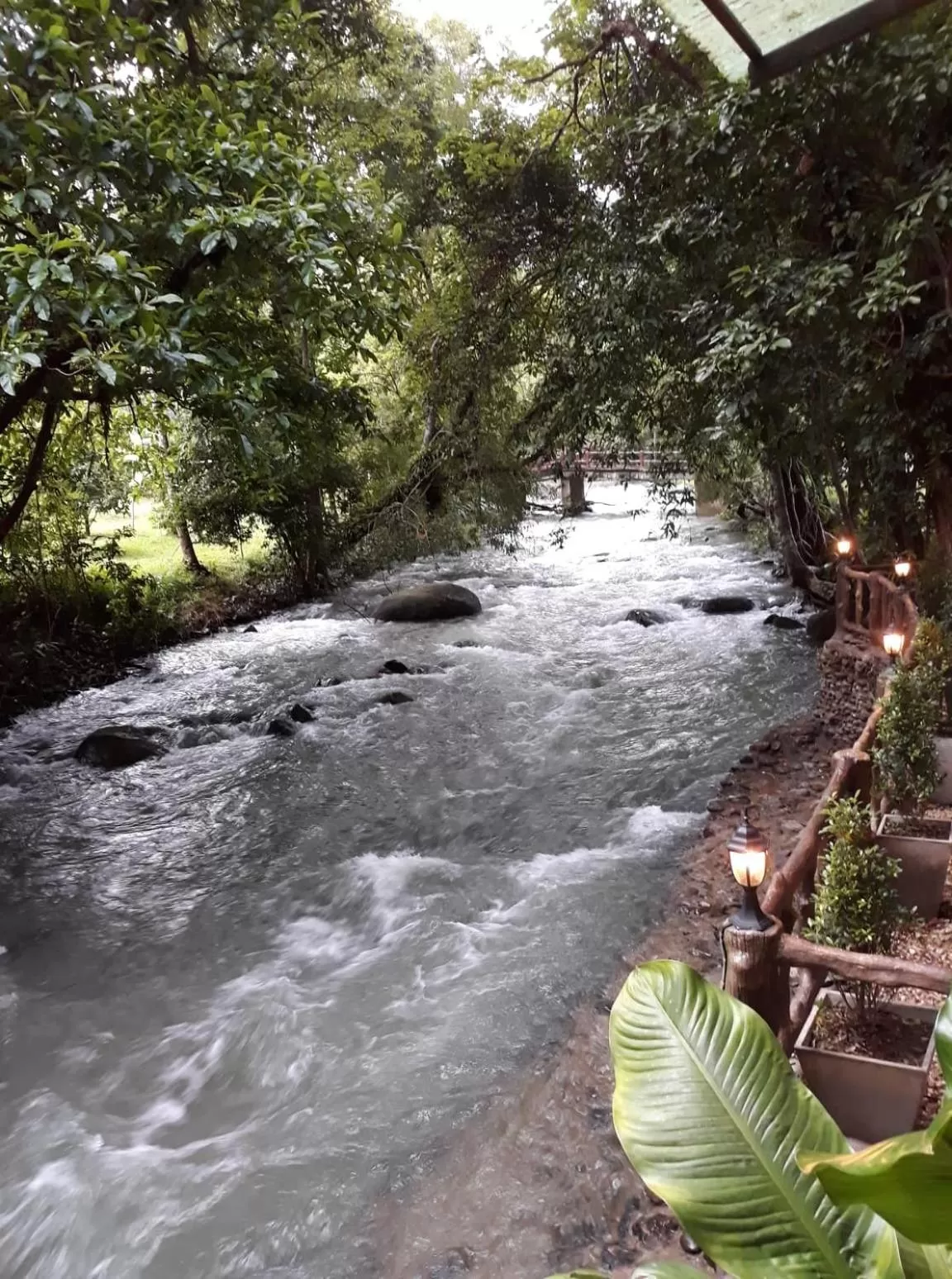 Tree Tops River Huts