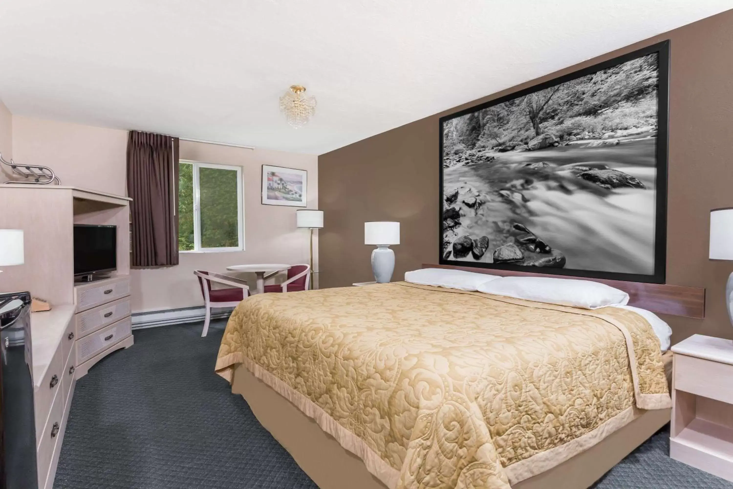 Photo of the whole room, Bed in Super 8 by Wyndham Shelton