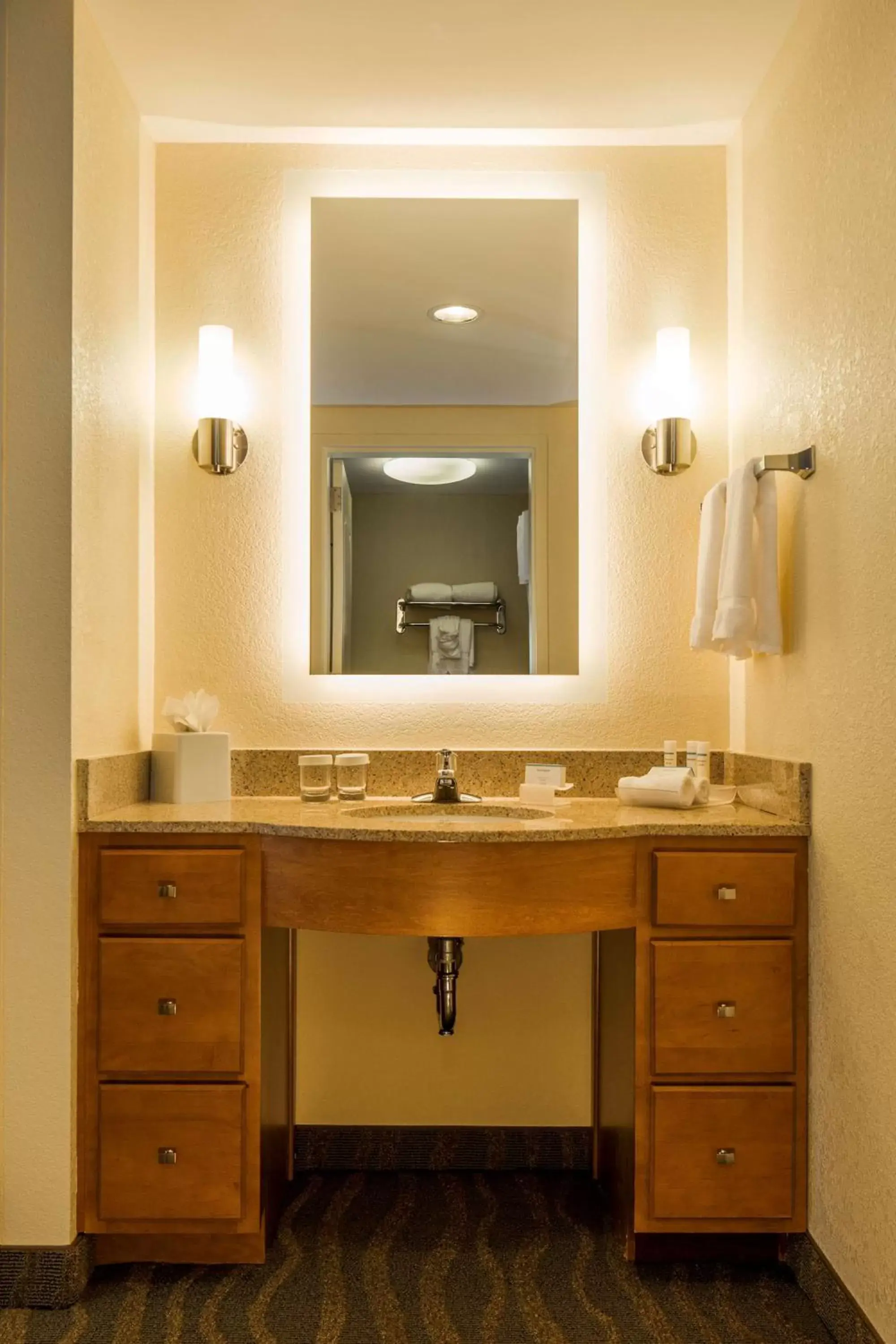 Bathroom in Homewood Suites by Hilton Philadelphia-Valley Forge