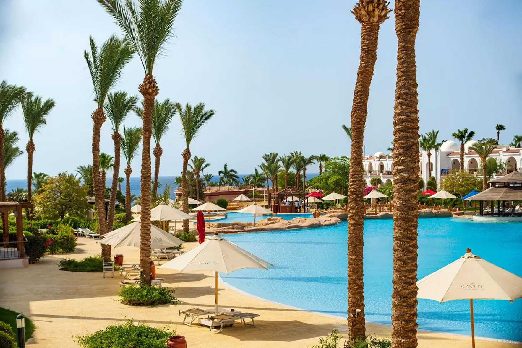 Swimming Pool in Savoy Sharm El Sheikh