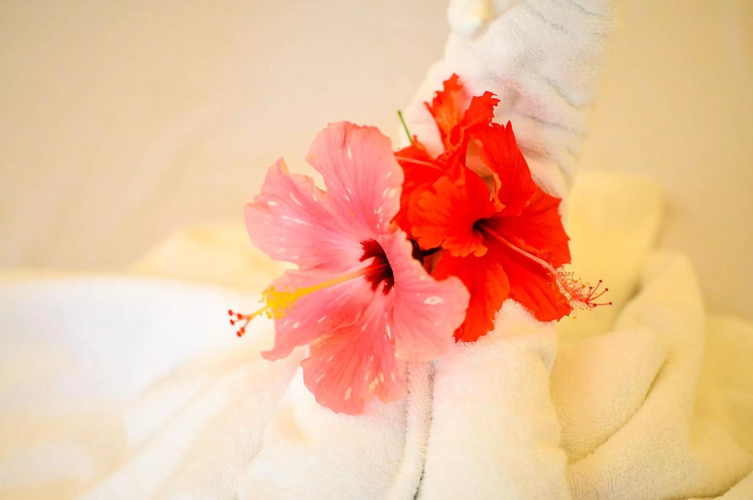 Camaya-an Paradise Beach Resort