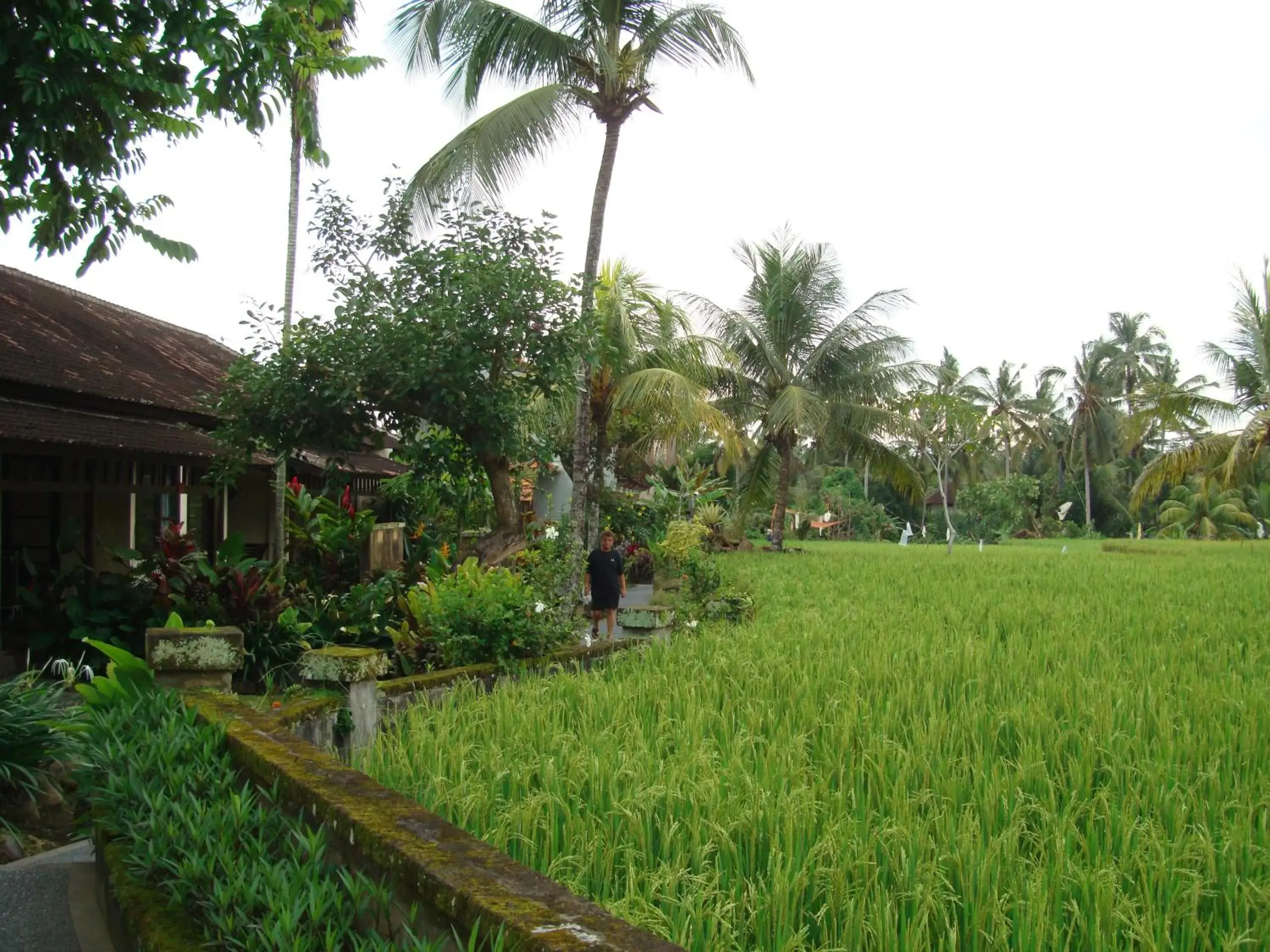 View (from property/room), Garden in Anini Raka Resort & Spa