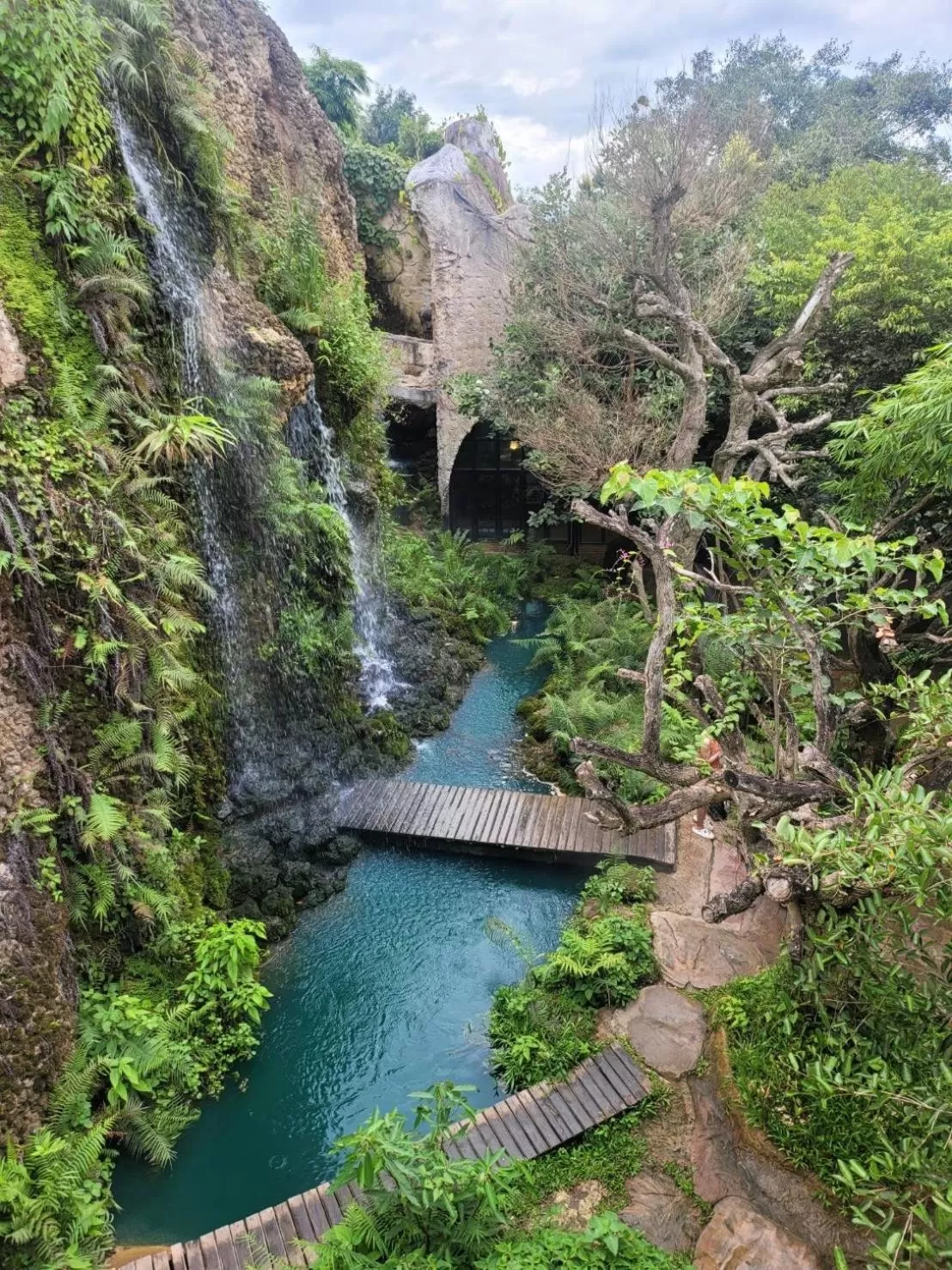 Spring in THAI HOTEL CHIANGMAI