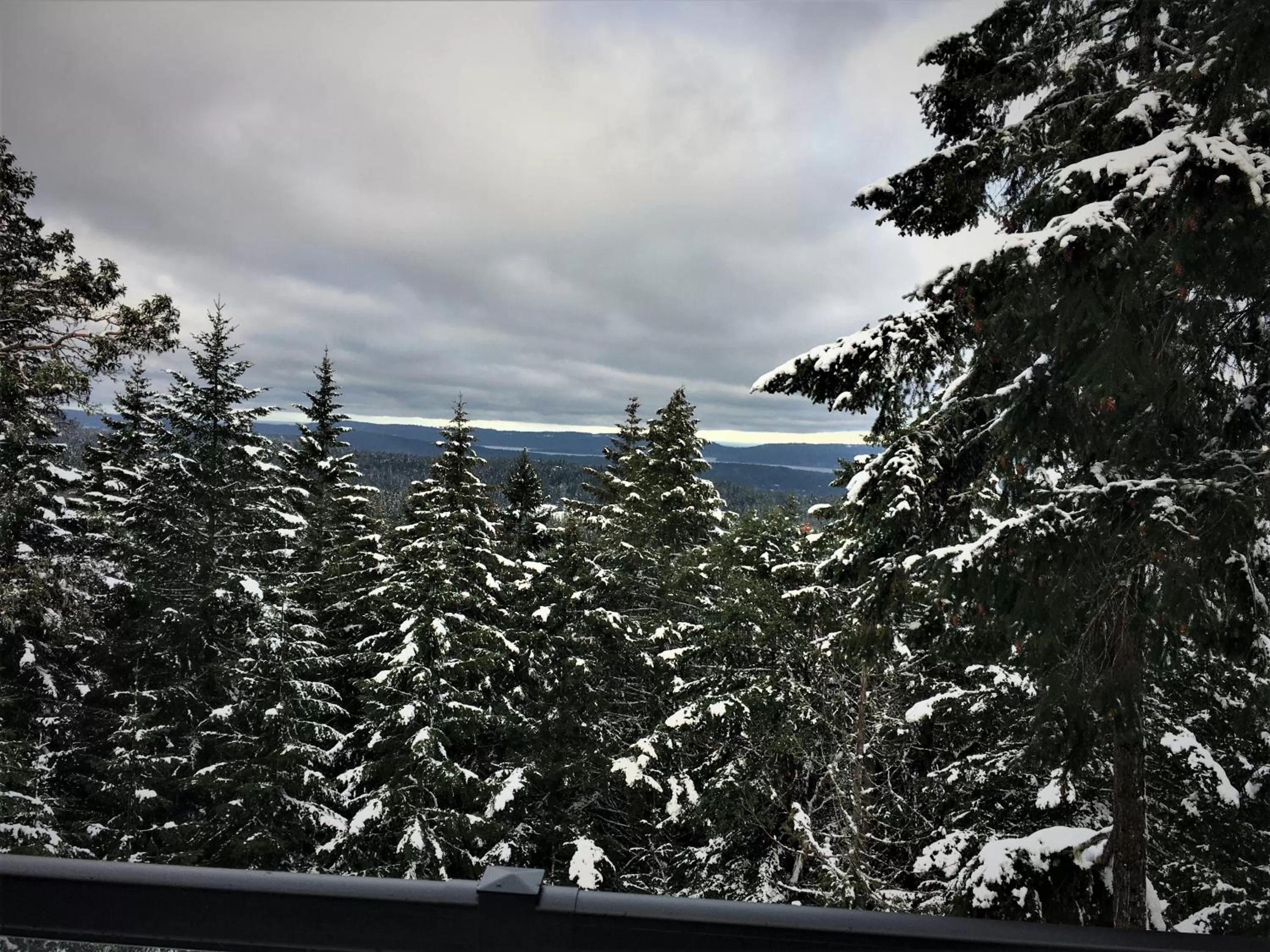 Sea view, Winter in Armand Heights
