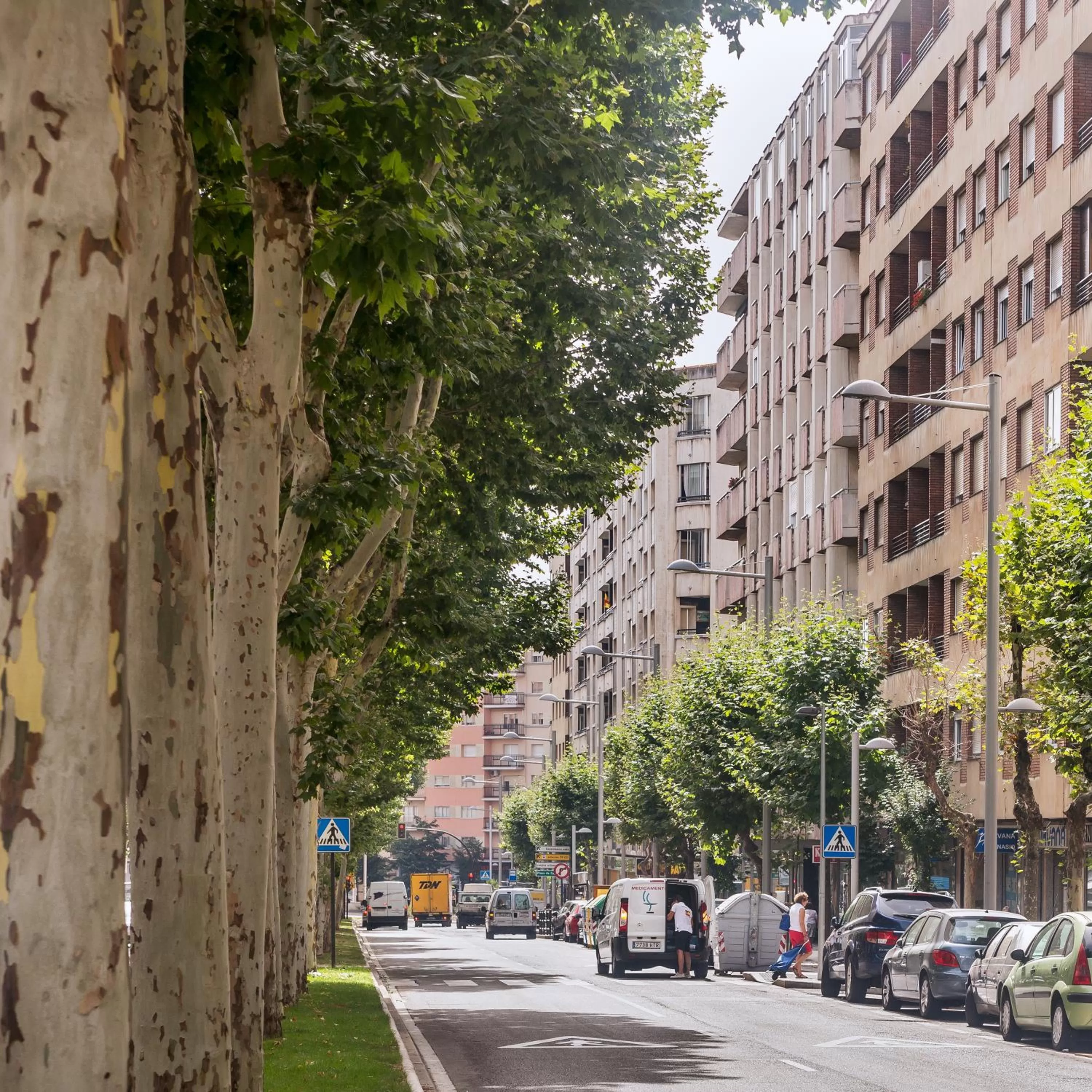 Patio in Hotel Castellano I