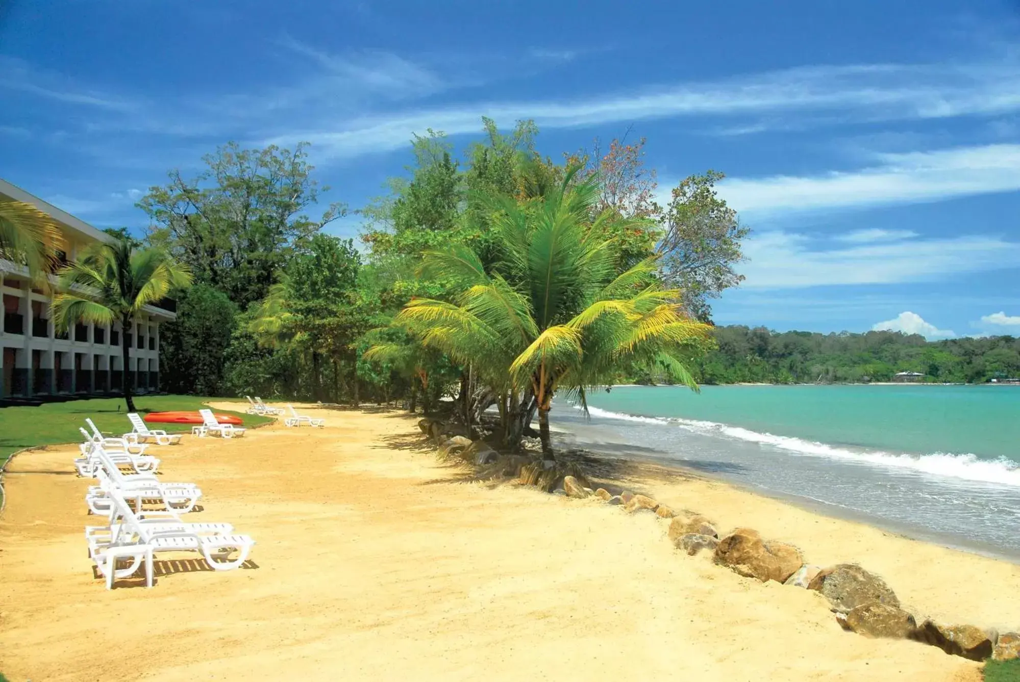 Beach in Playa Tortuga Hotel and Beach Resort