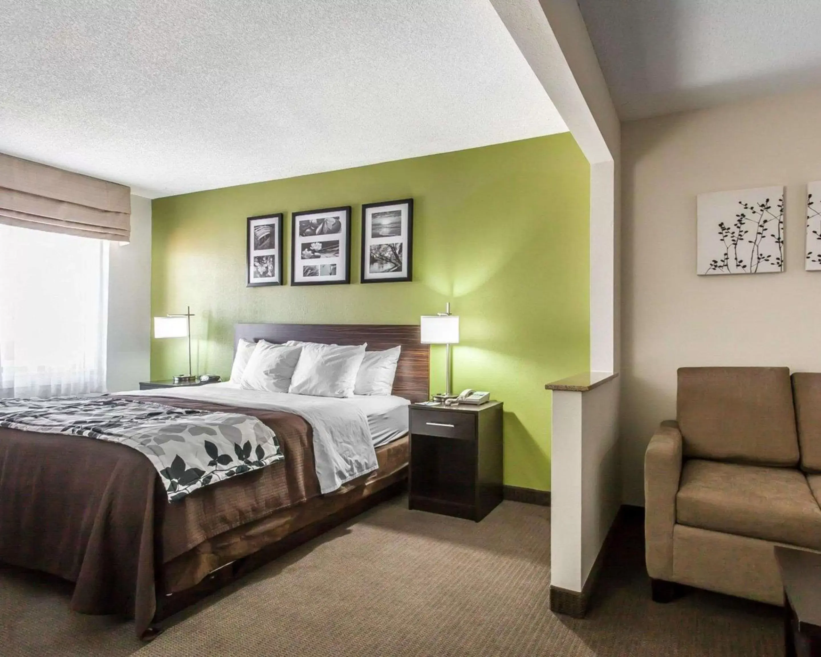 Photo of the whole room, Bed in Sleep Inn & Suites Near I-90 and Ashtabula