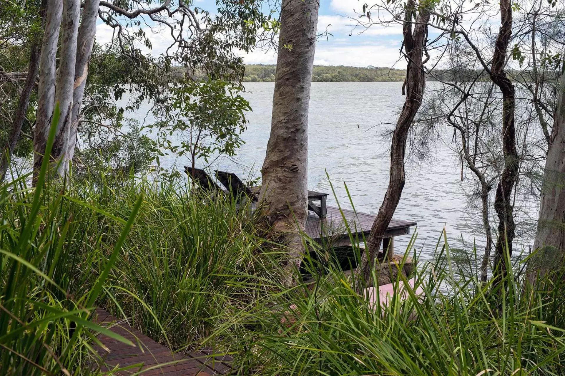 Natural landscape, Other Animals in Eumarella Shores Noosa Lake Retreat