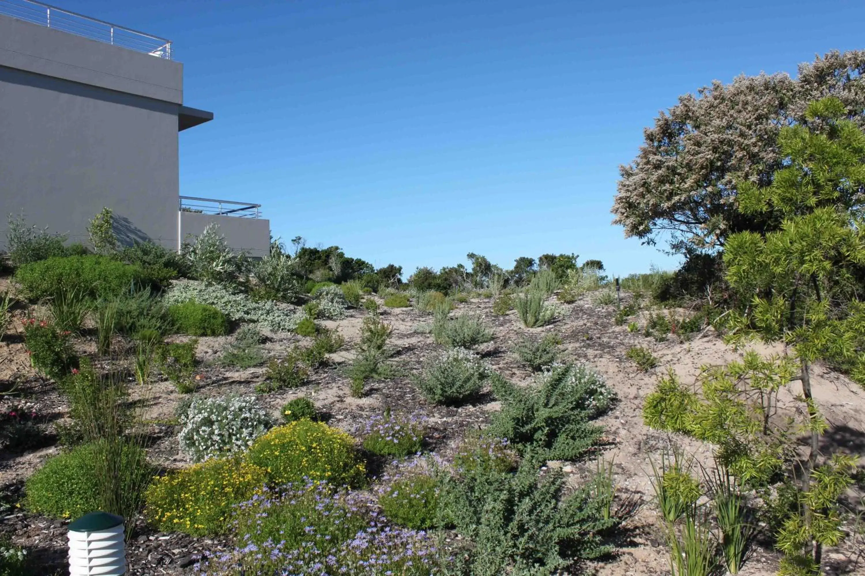 Garden in Robberg Beach Lodge - Lion Roars Hotels & Lodges